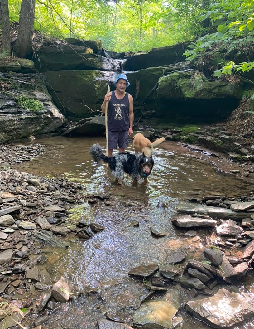 Mountainside Waterfall Retreat