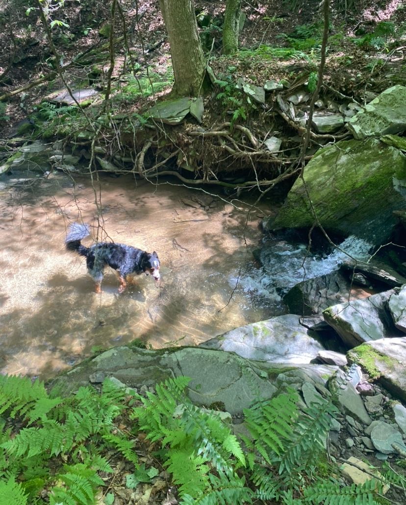 Mountainside Waterfall Retreat