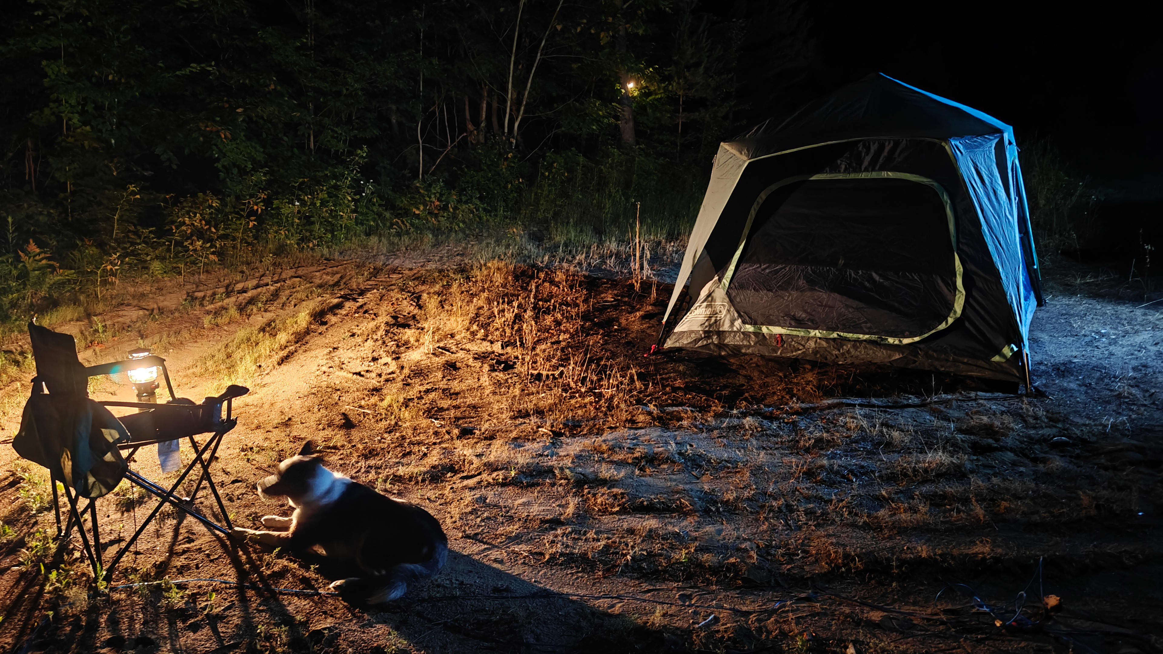 Private tent site.
