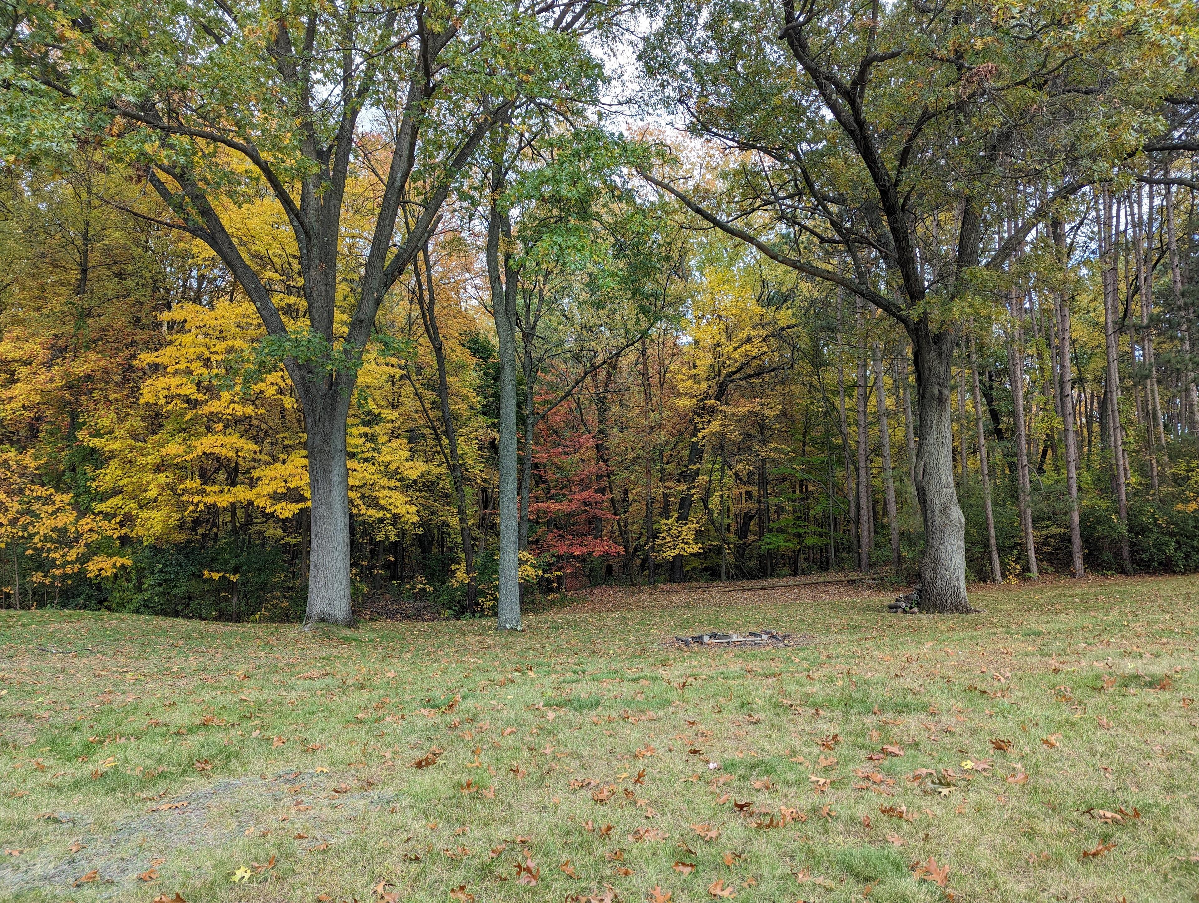 Giant Pines Rustic Camping