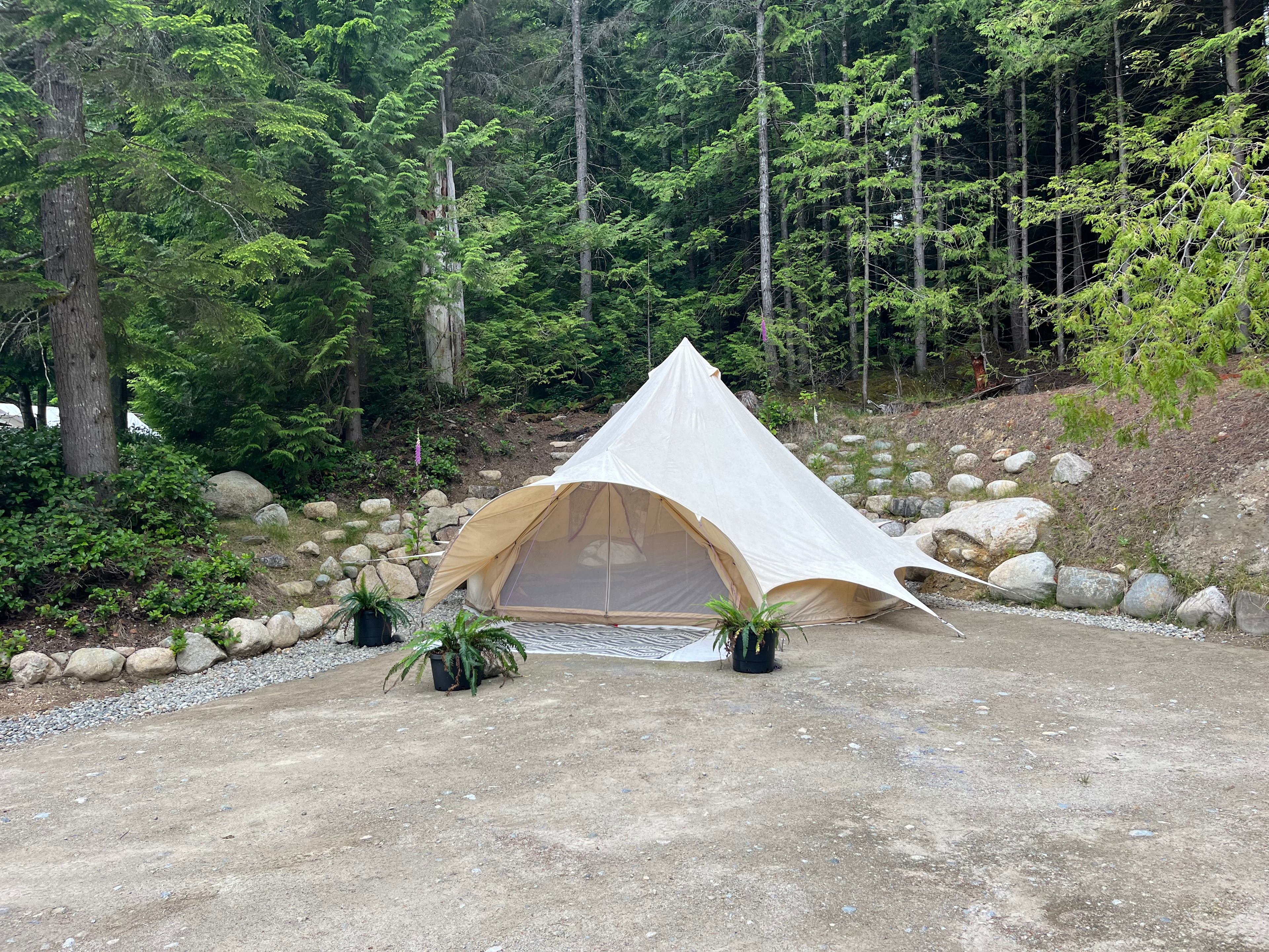 Forest Sanctuary Bell Tent