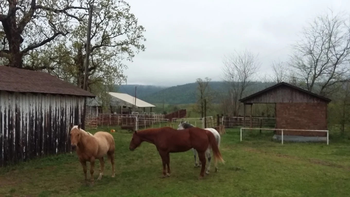Rugged Mountain Ranch