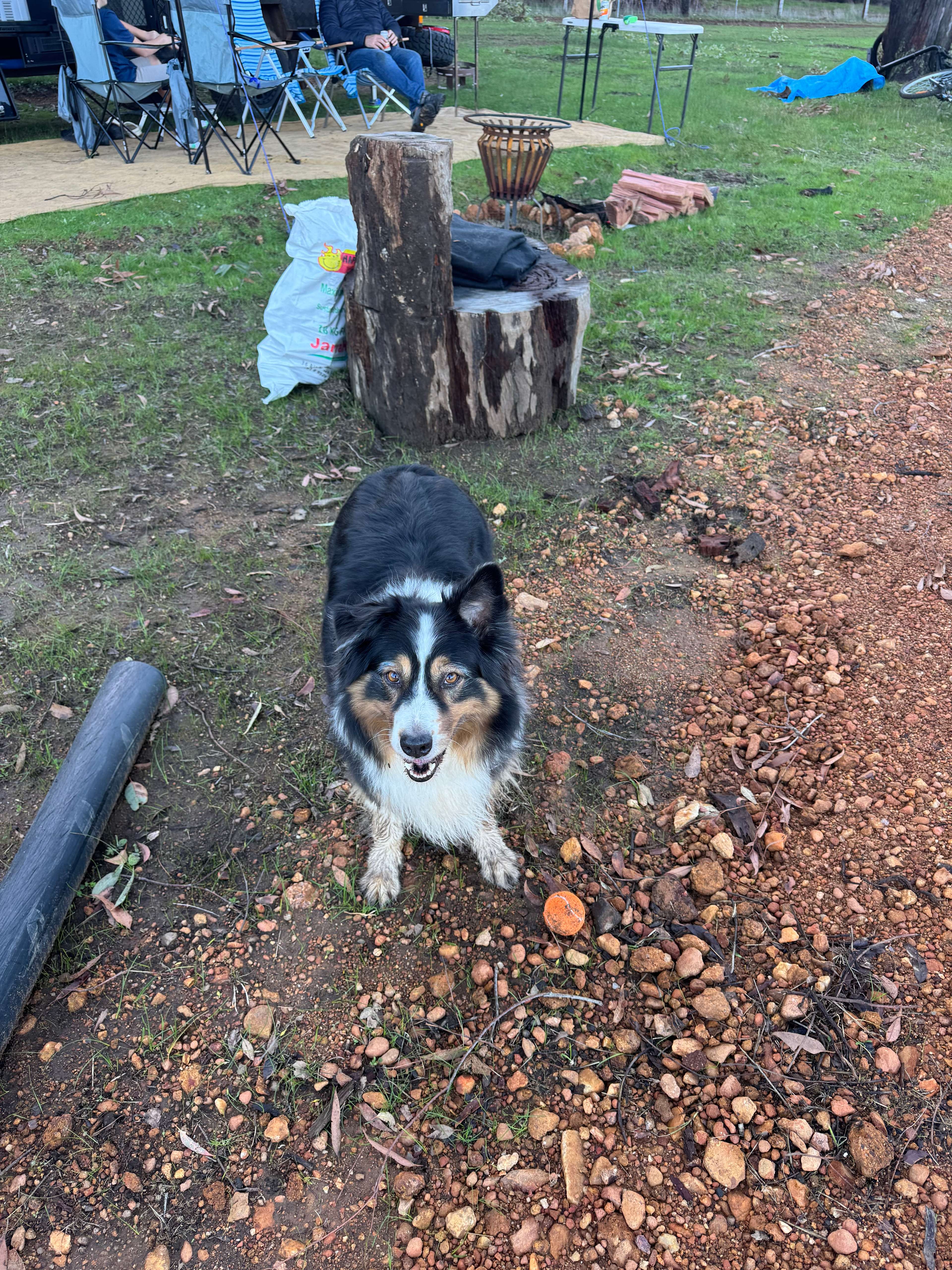 Shukuru Farm, Wellington Forest WA