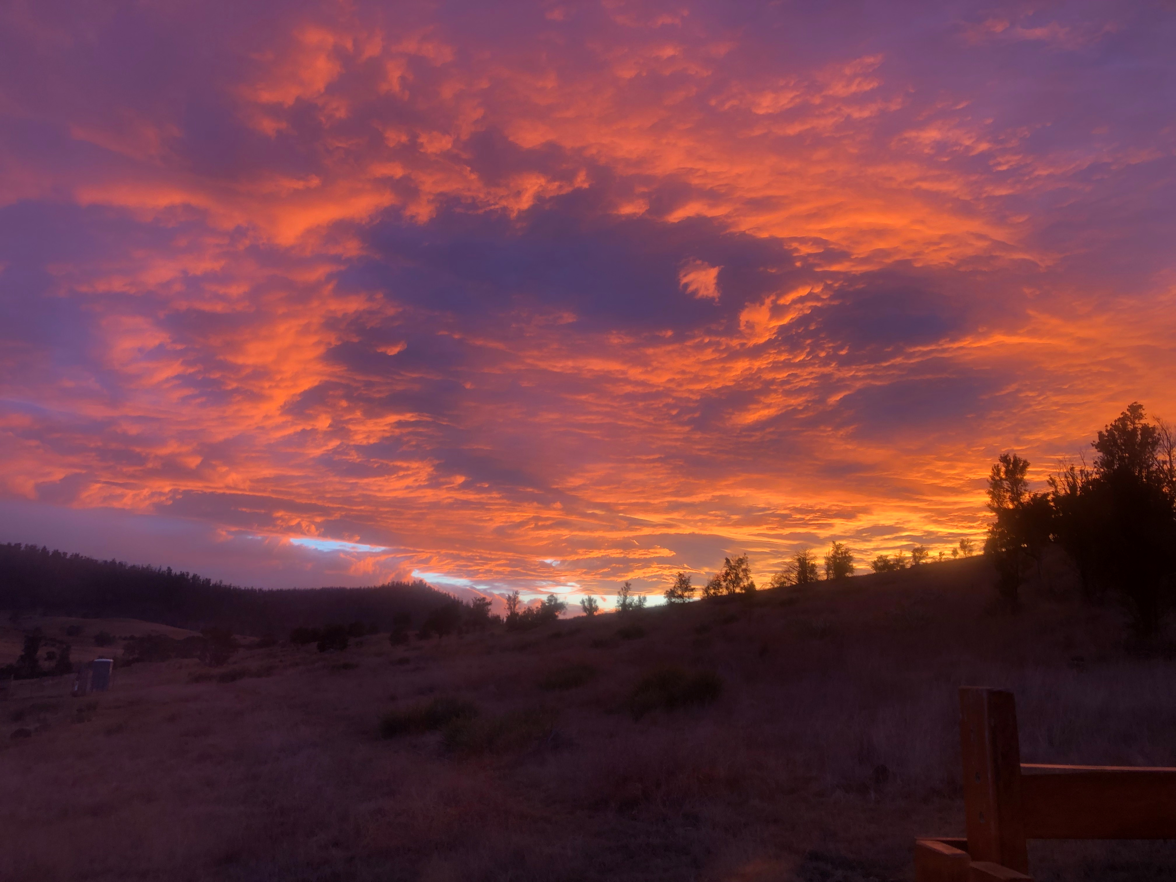 Carlton River Escape