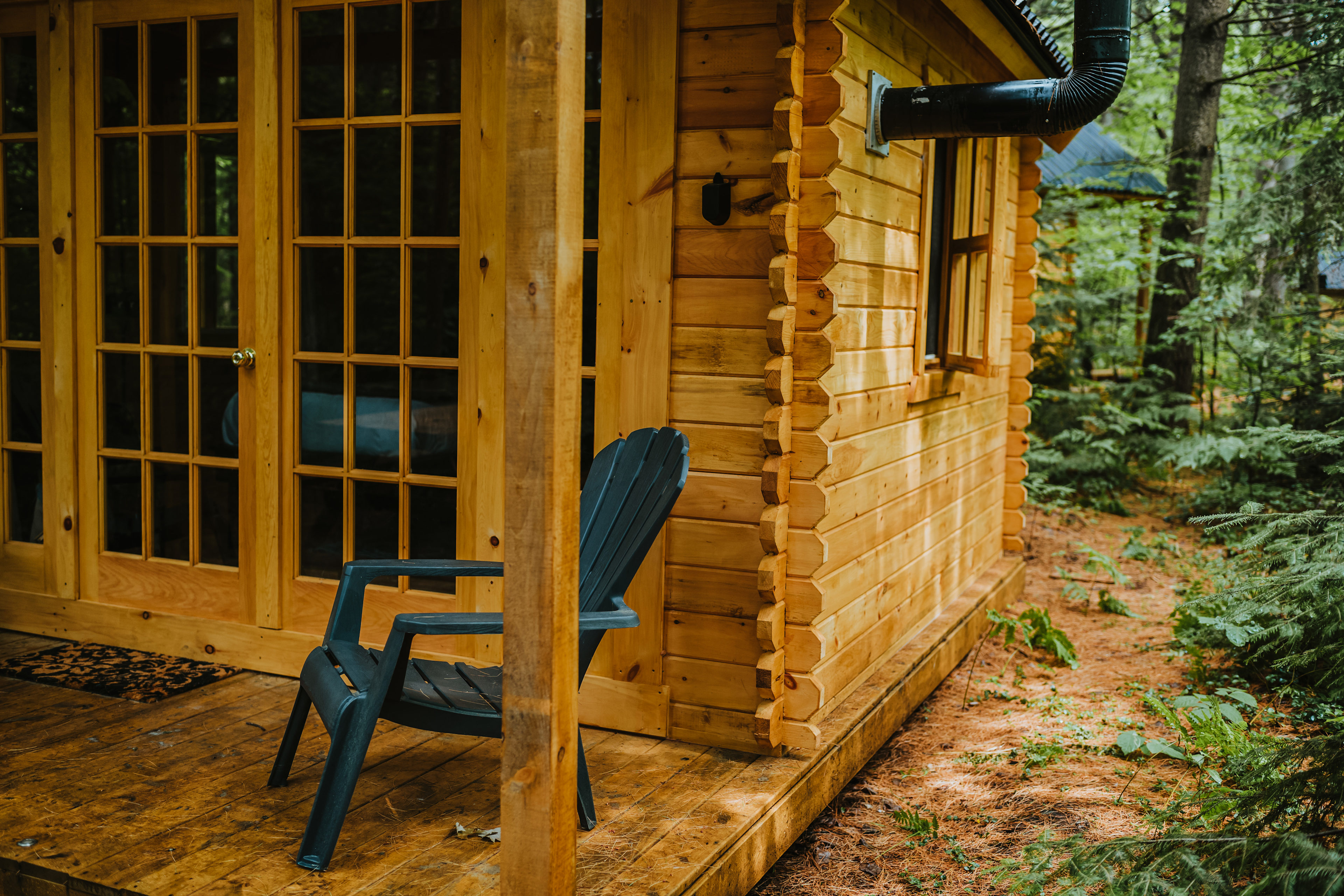 That Place In The Woods
