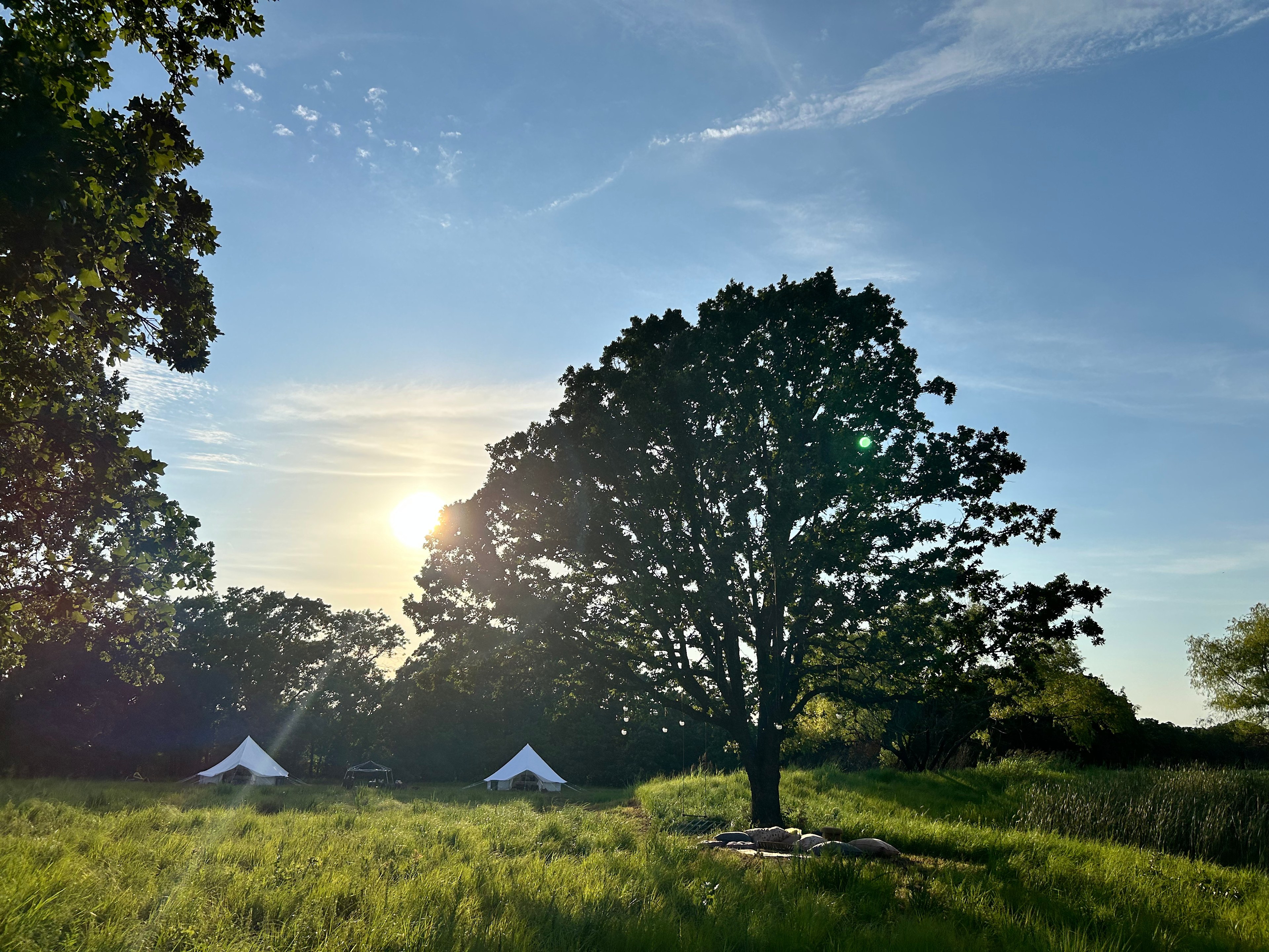 Enchanted Tent