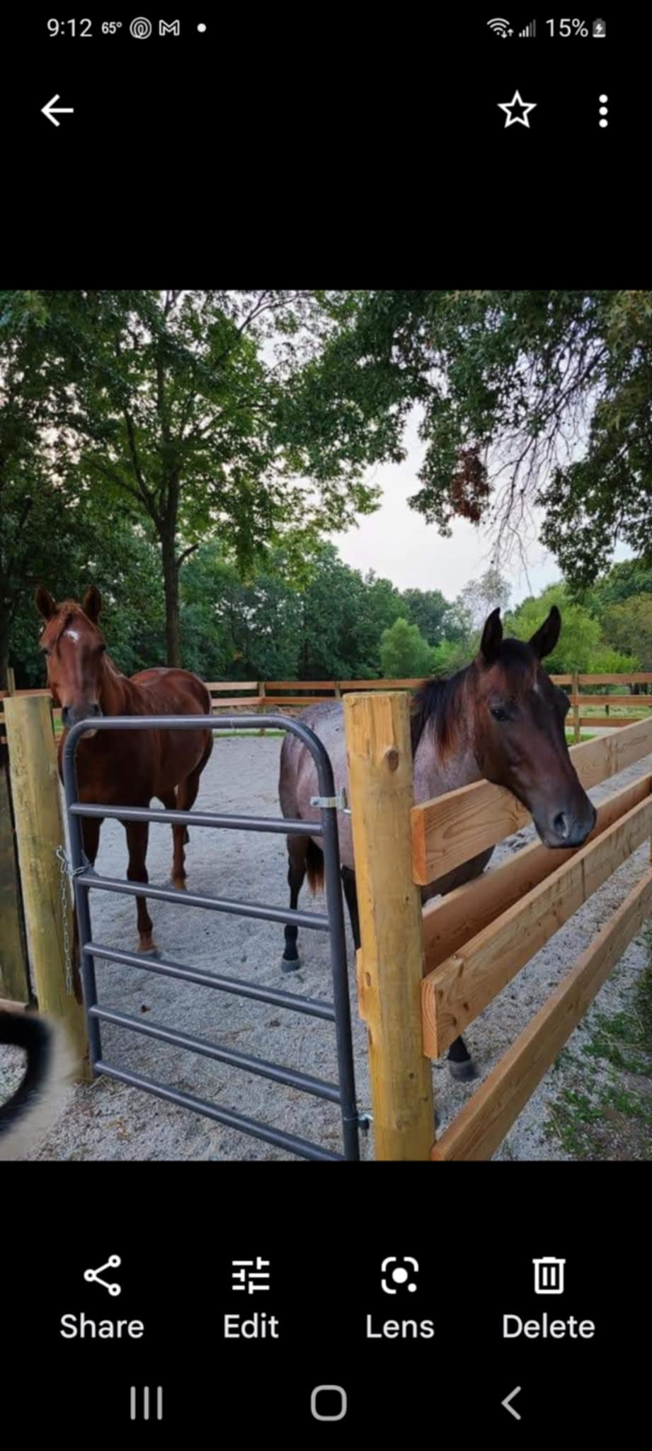 Sunny Ridge Stables