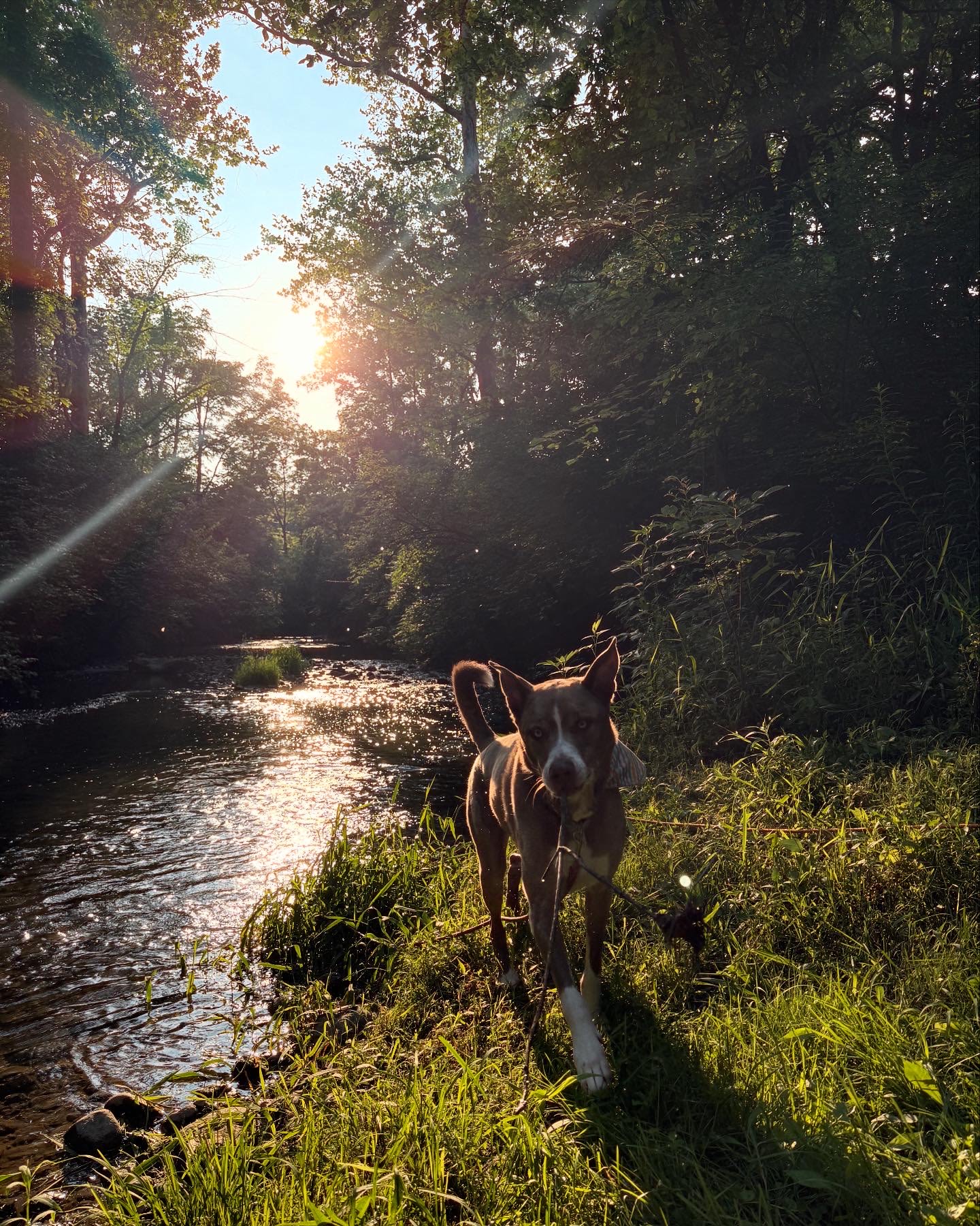 The Land of Milk And Honey
