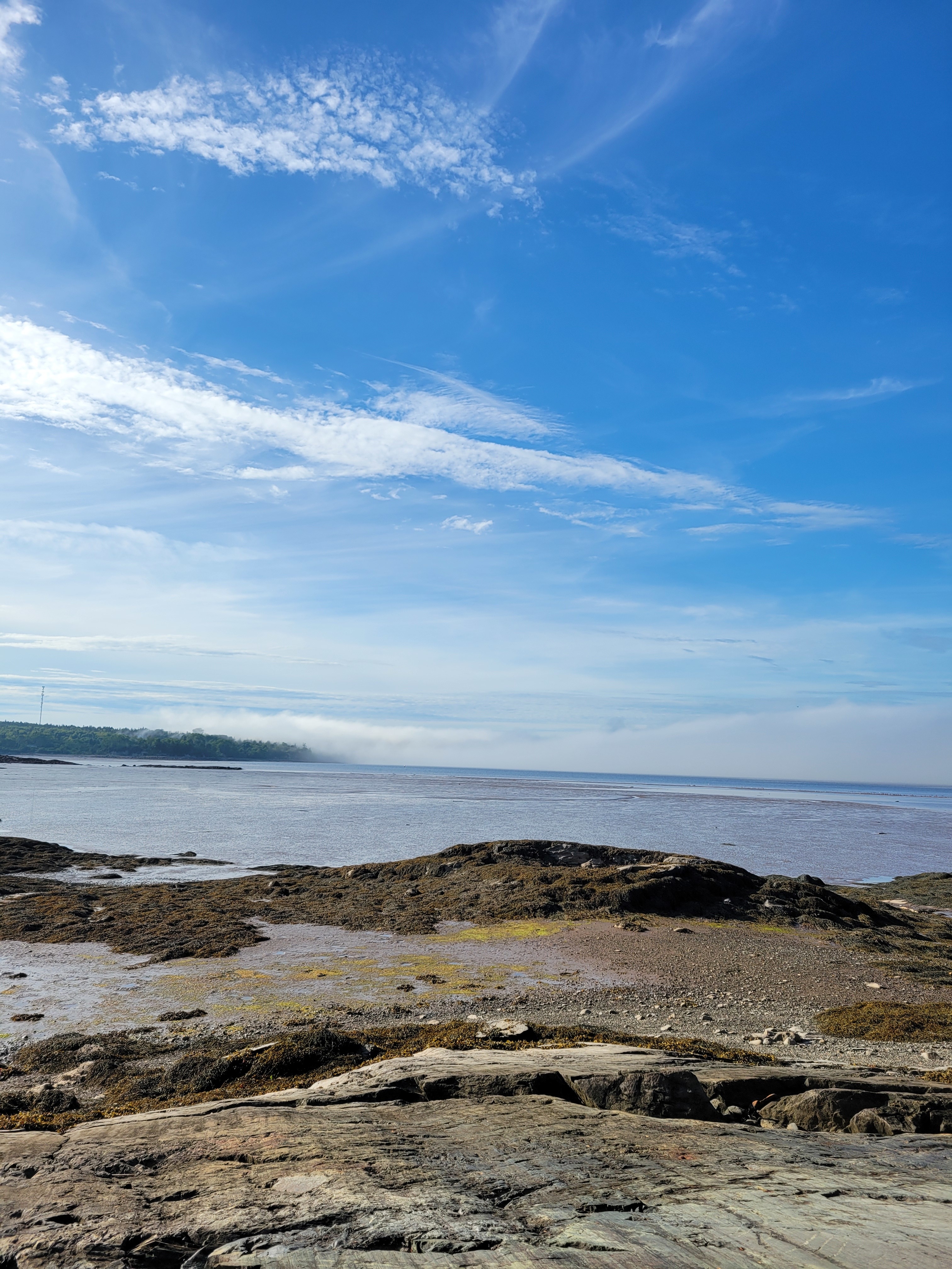 rocks just below Birch Point Ocean Lookout campsite