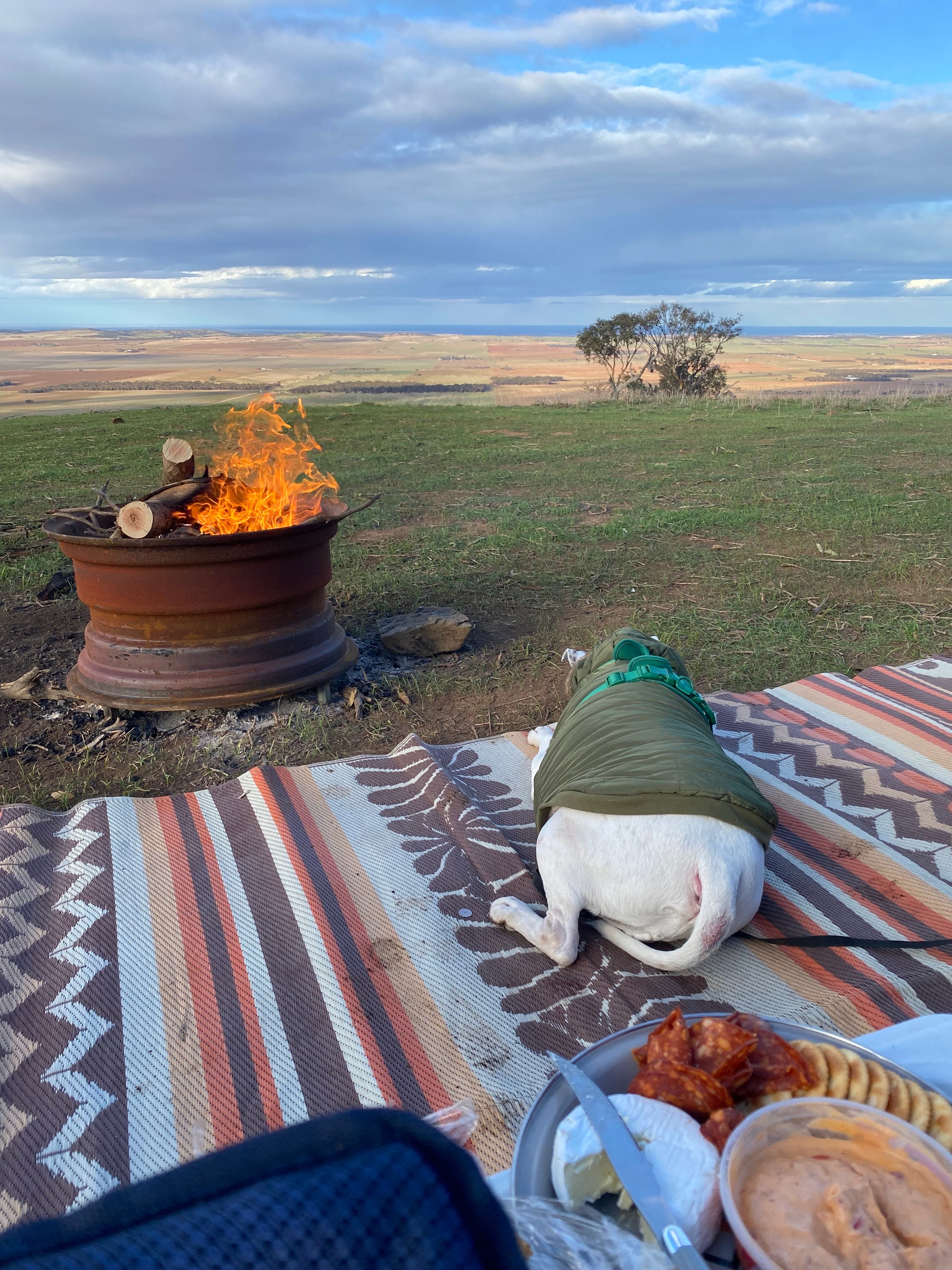 Downhill Run Camping