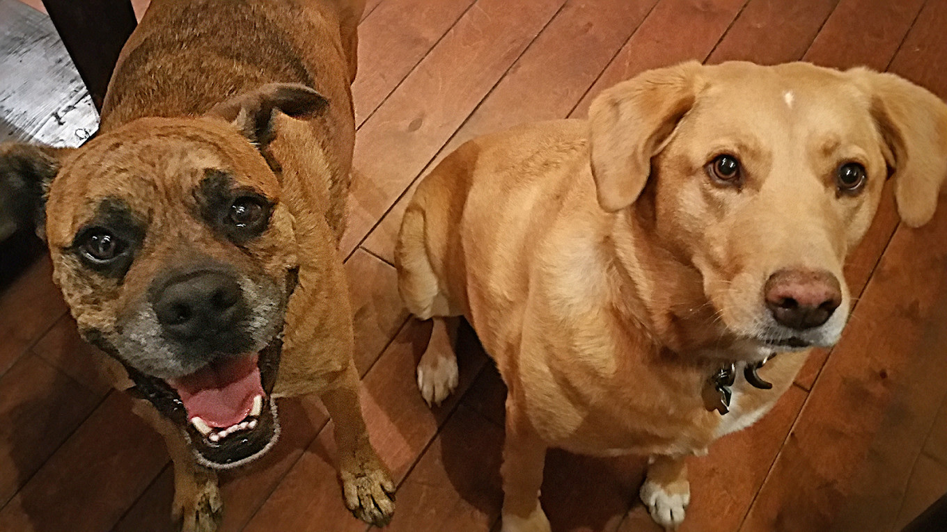 Travelin Tumblewood RV Park