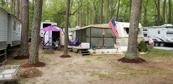 Tall Pines Campground Resort