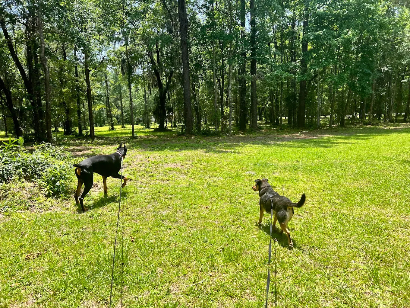 McIntosh Manor RV Park and Campground
