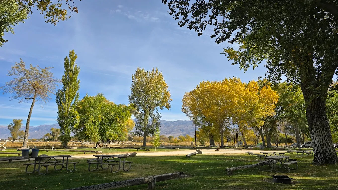 Brown's Town Campgrounds