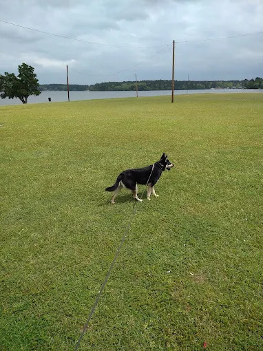 Lake Tyler Marina Resort