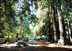 Camp Navarro