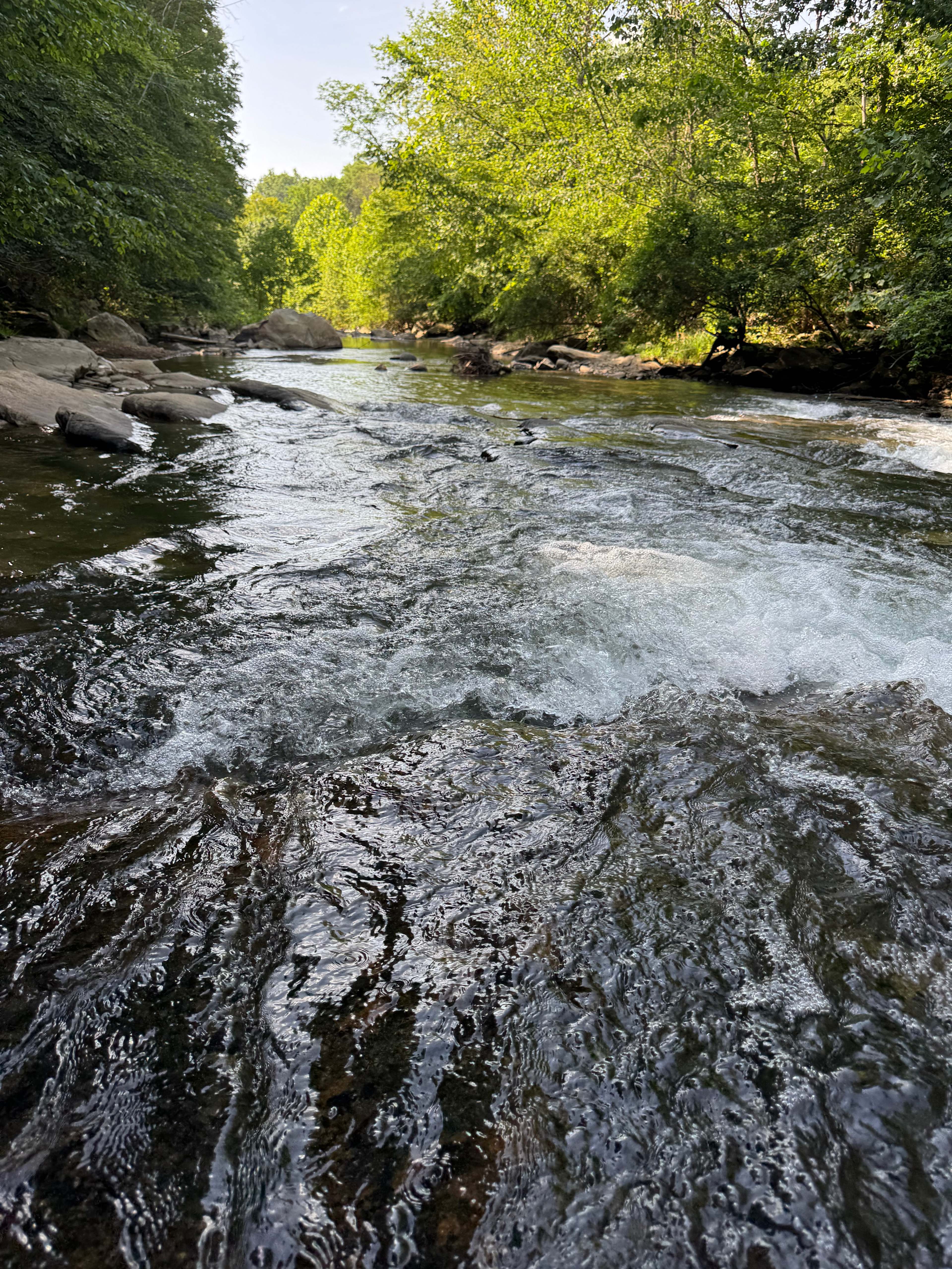 Abrams Creek Adventures (Site 1)