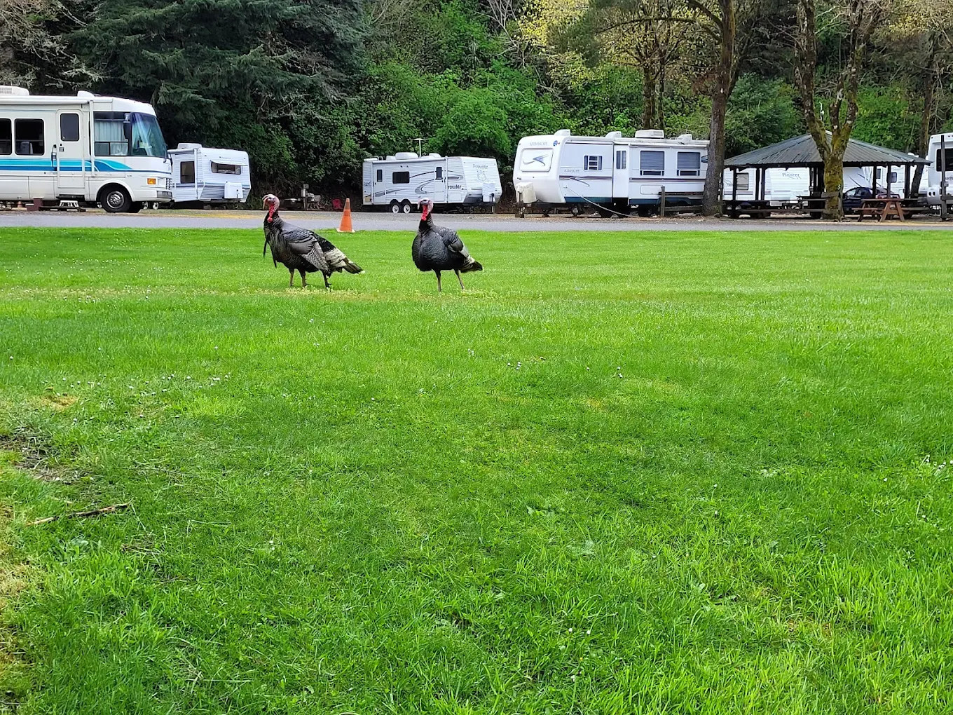 Indian Creek Campground