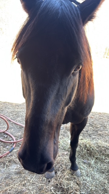Hackmatack farm