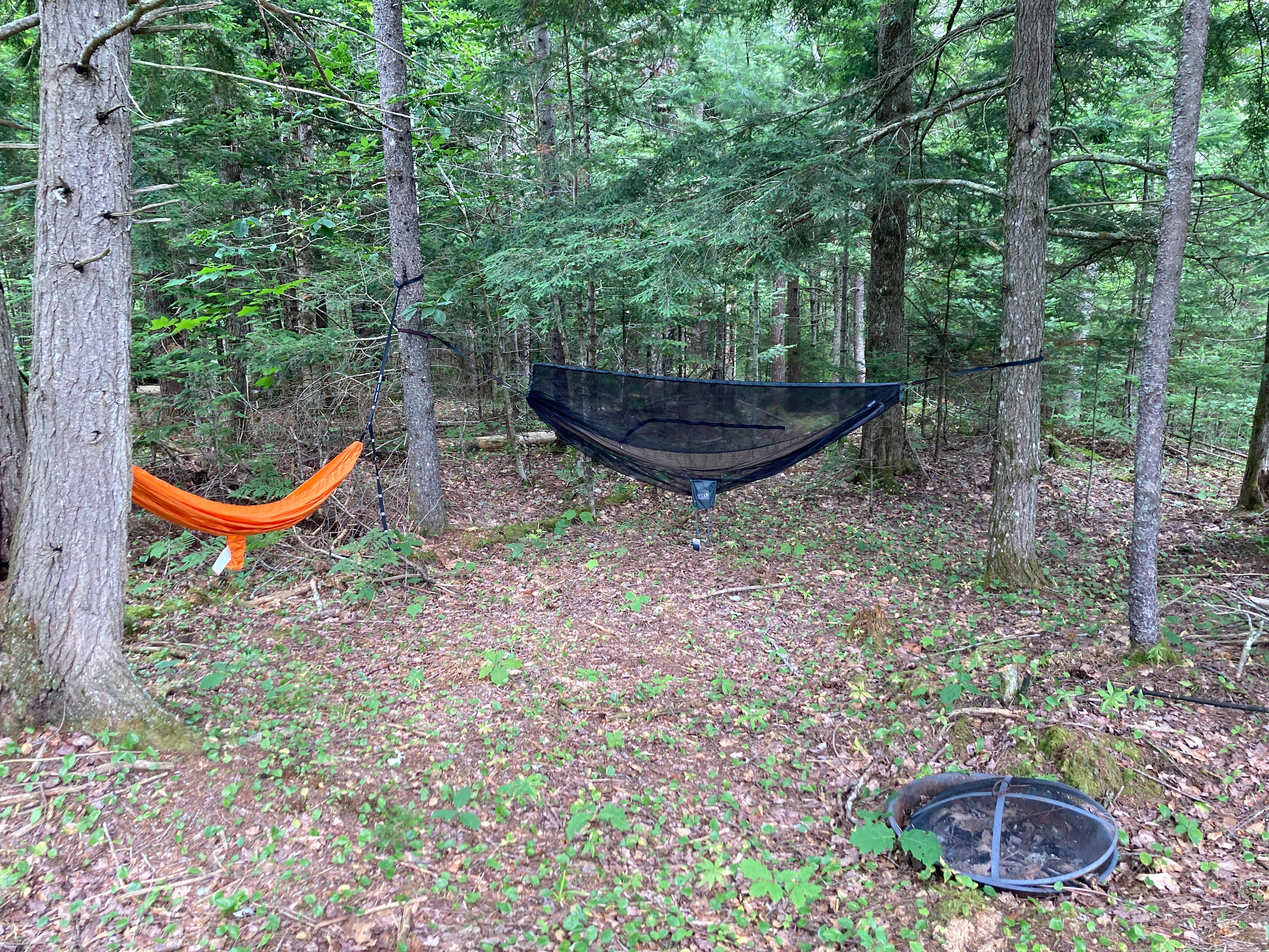 Nikki’s Sanctuary