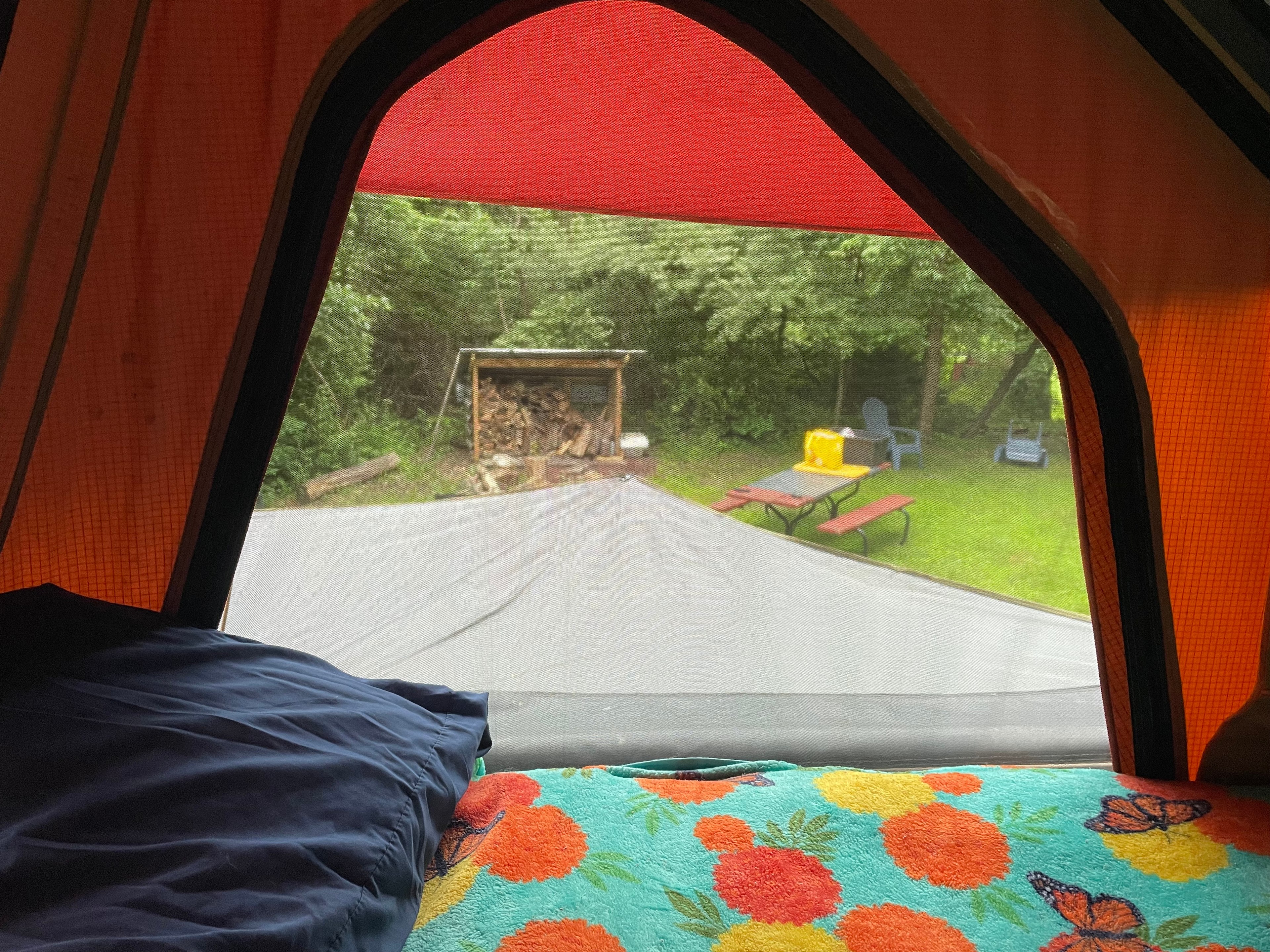 View of 1 of 2 wood sheds. 