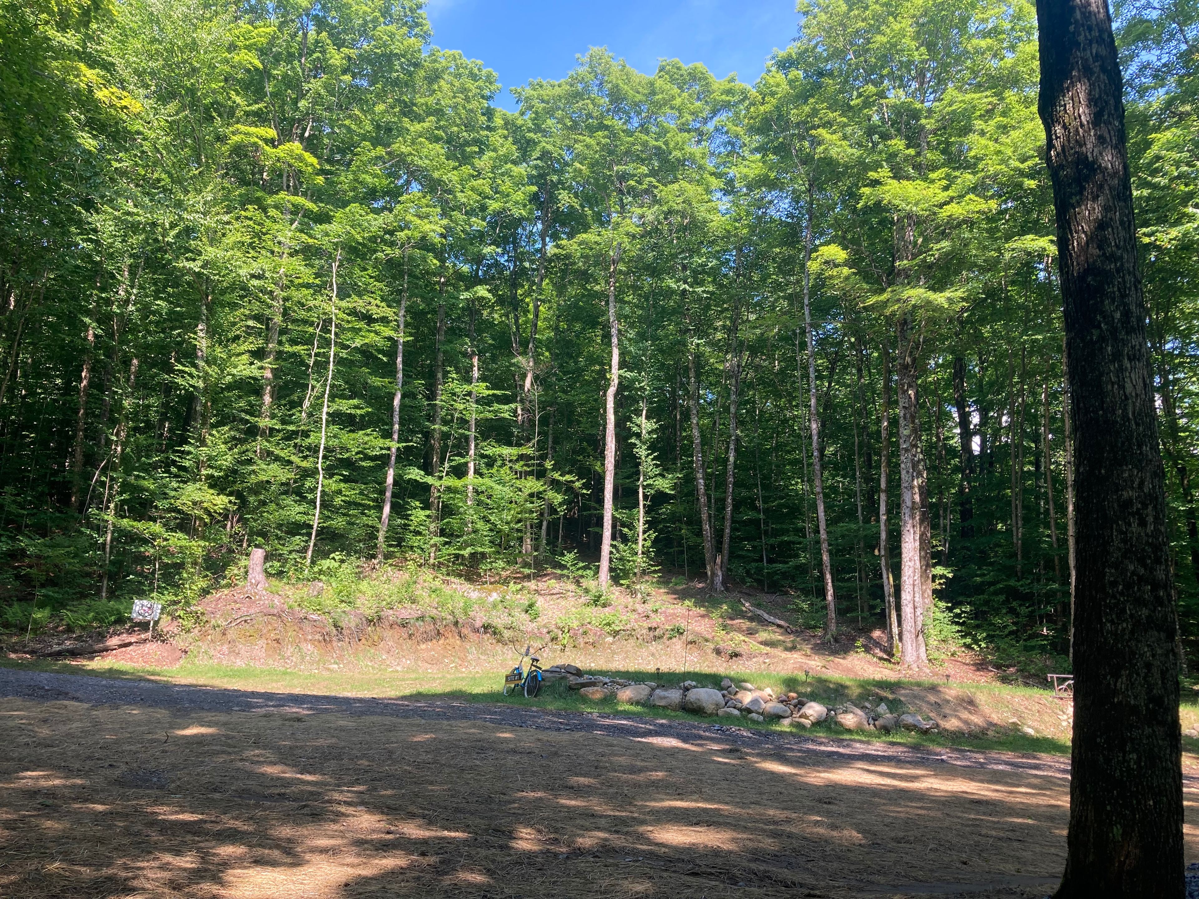 Wendy’s Woods on the Kingdom Trails