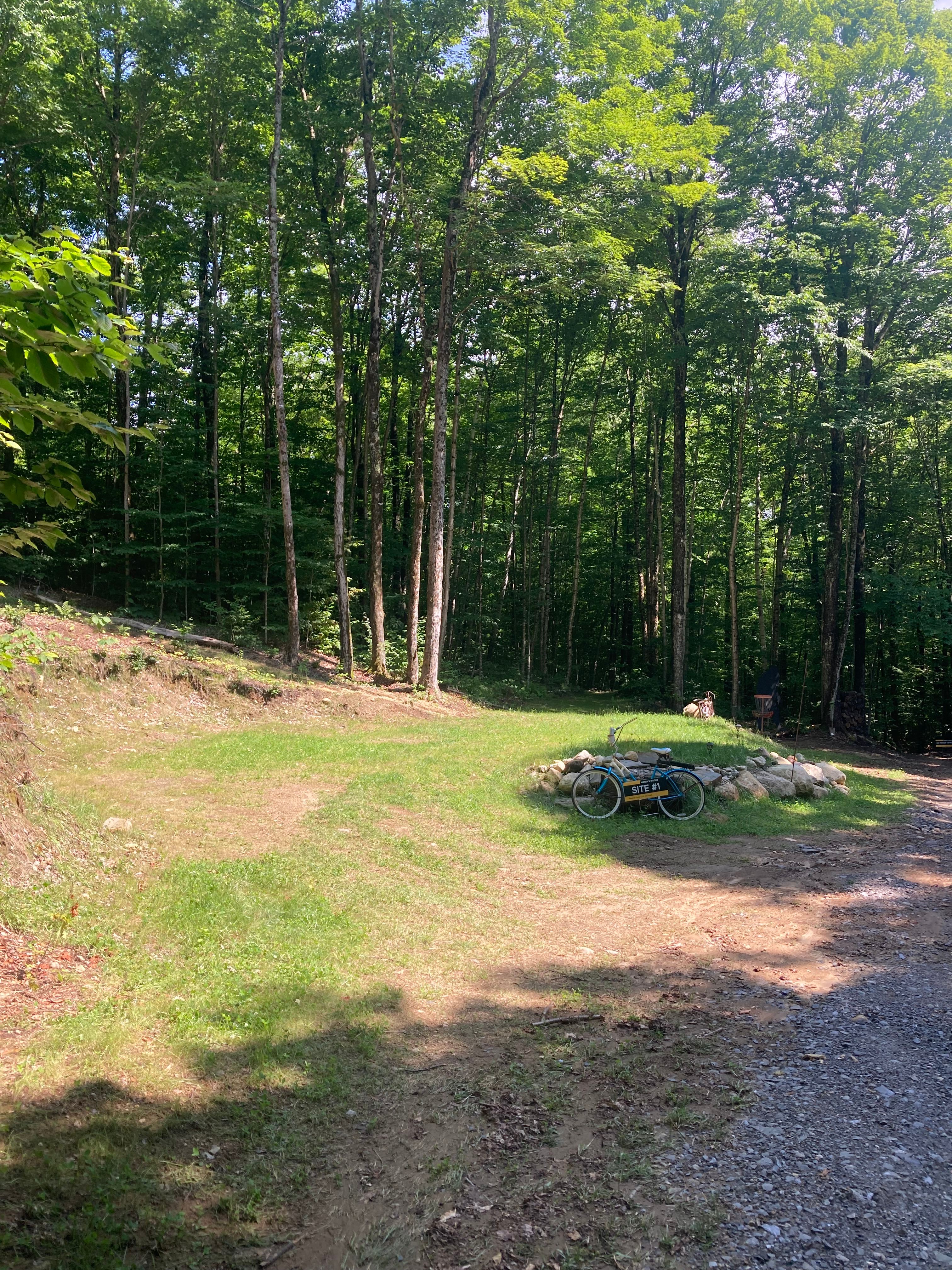 Wendy’s Woods on the Kingdom Trails