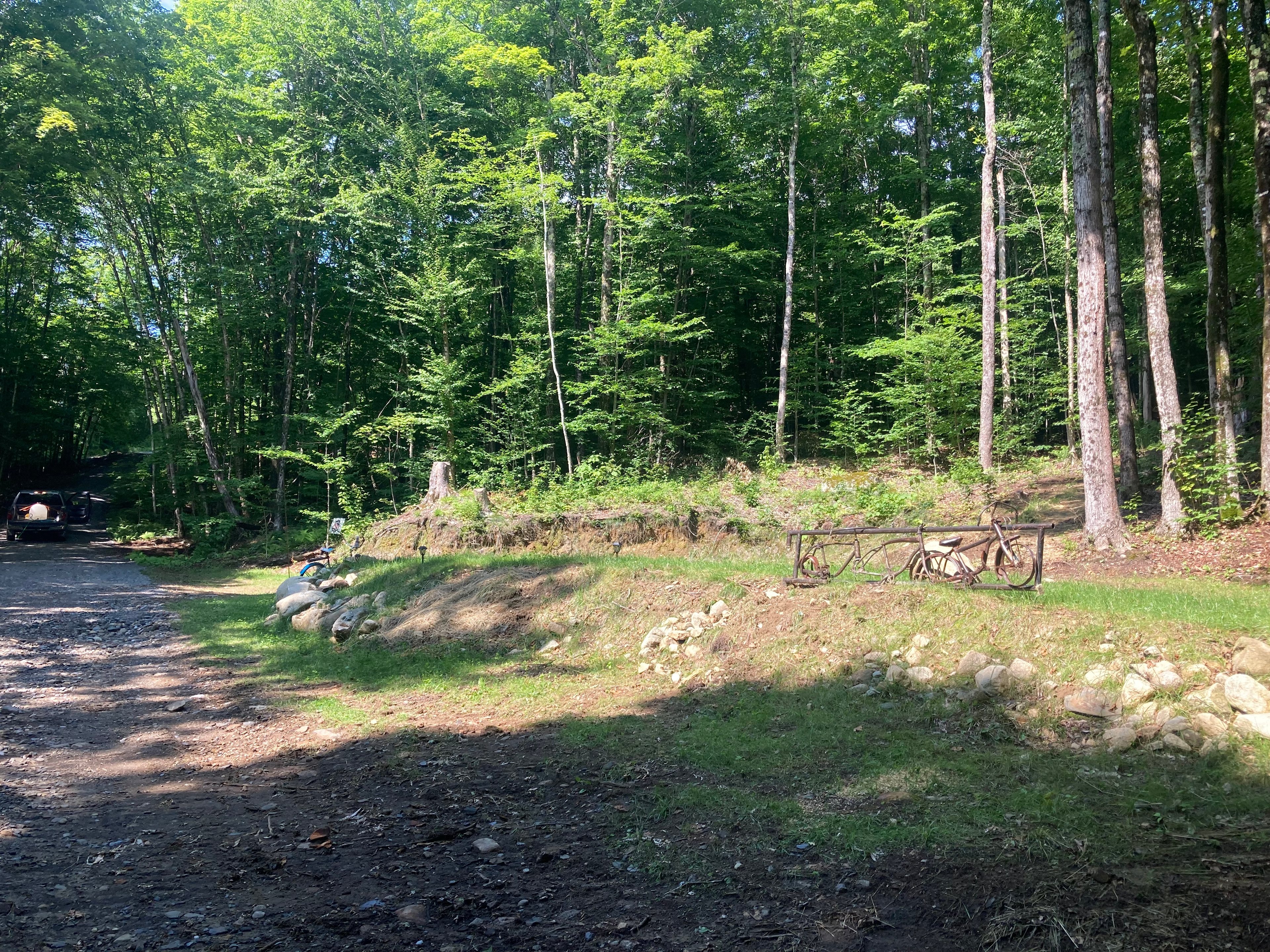 Wendy’s Woods on the Kingdom Trails