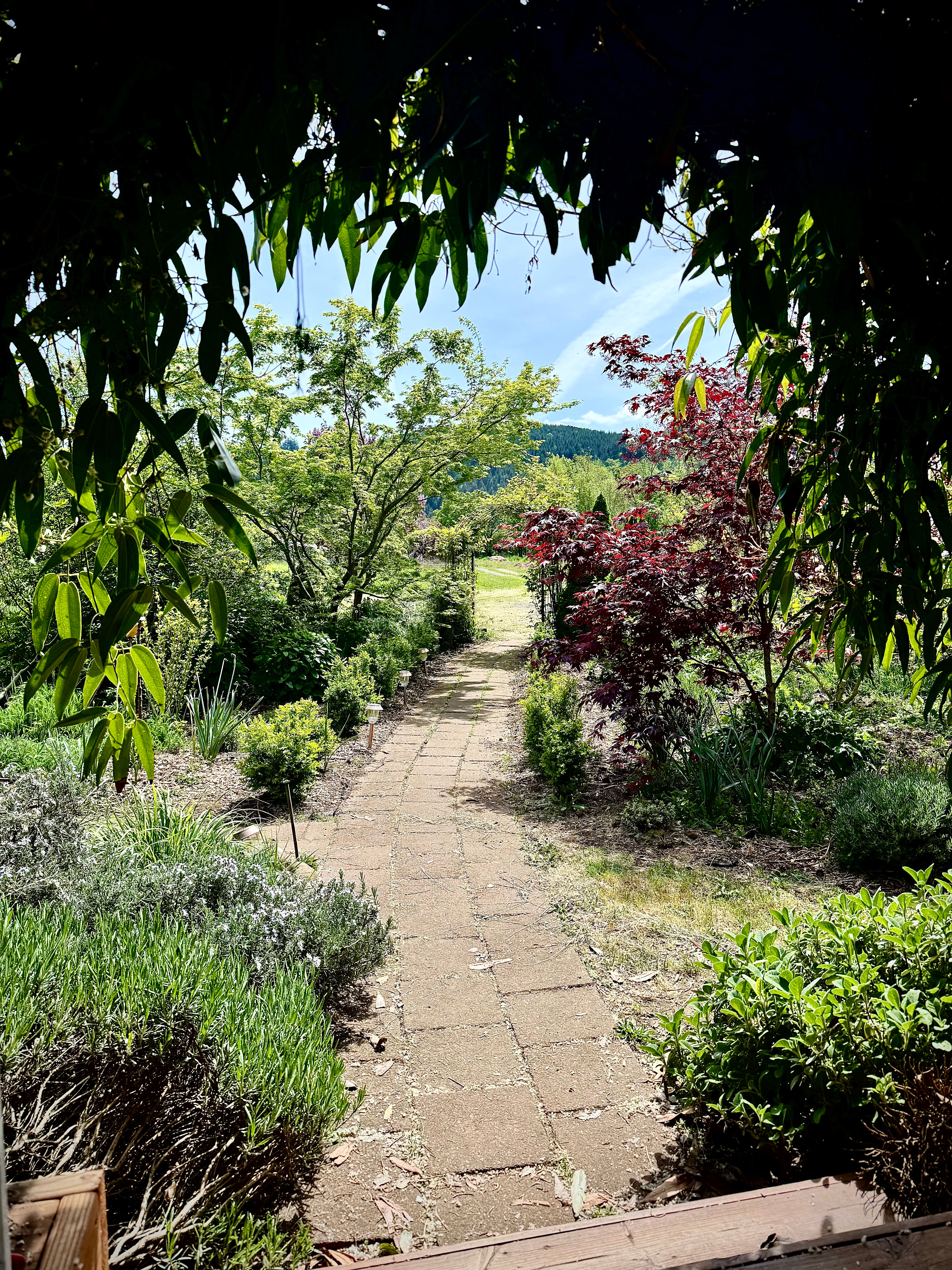 Kalapuya Homestead & Retreat