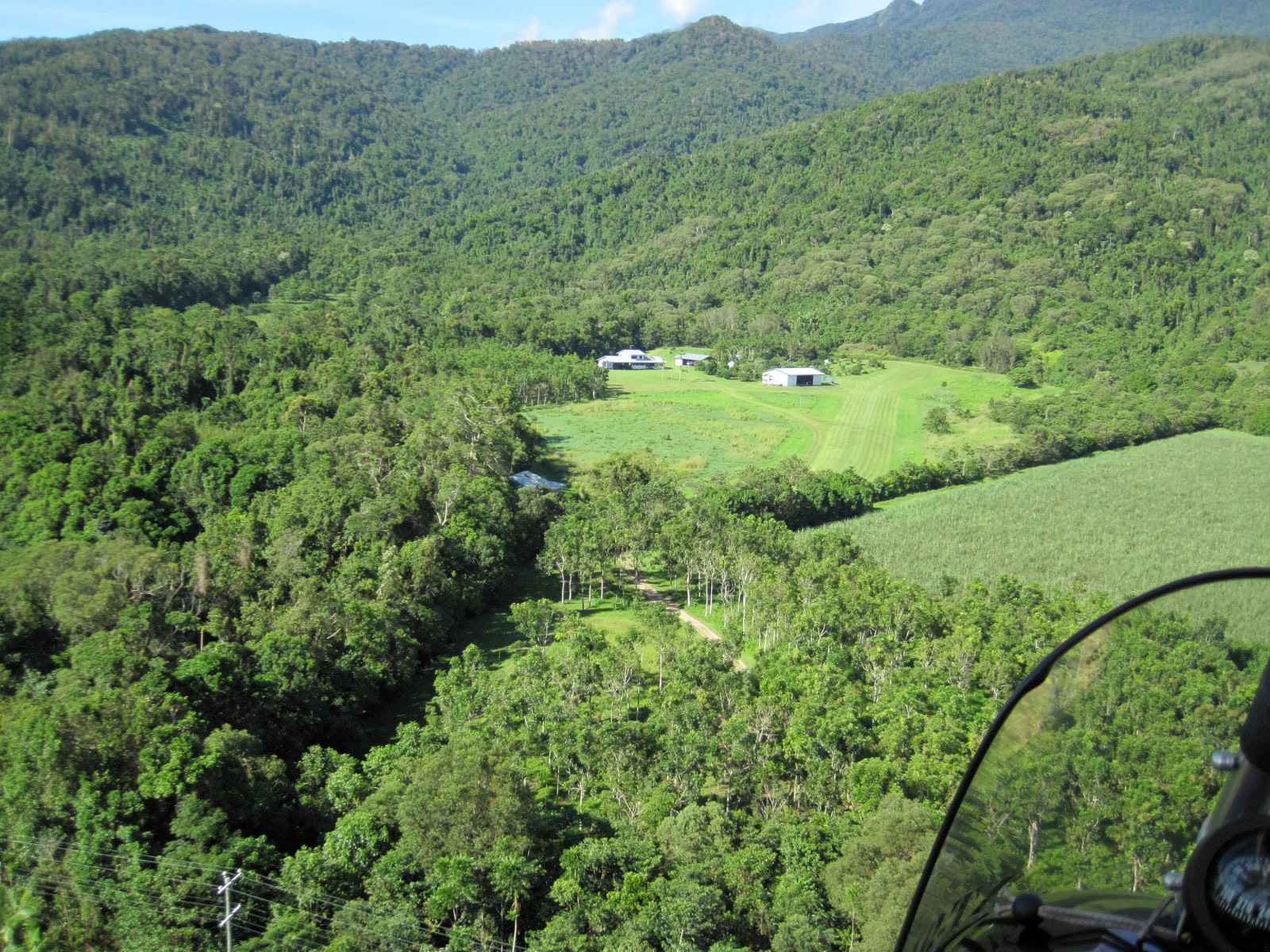 Rainforest Stream Near Cairns
