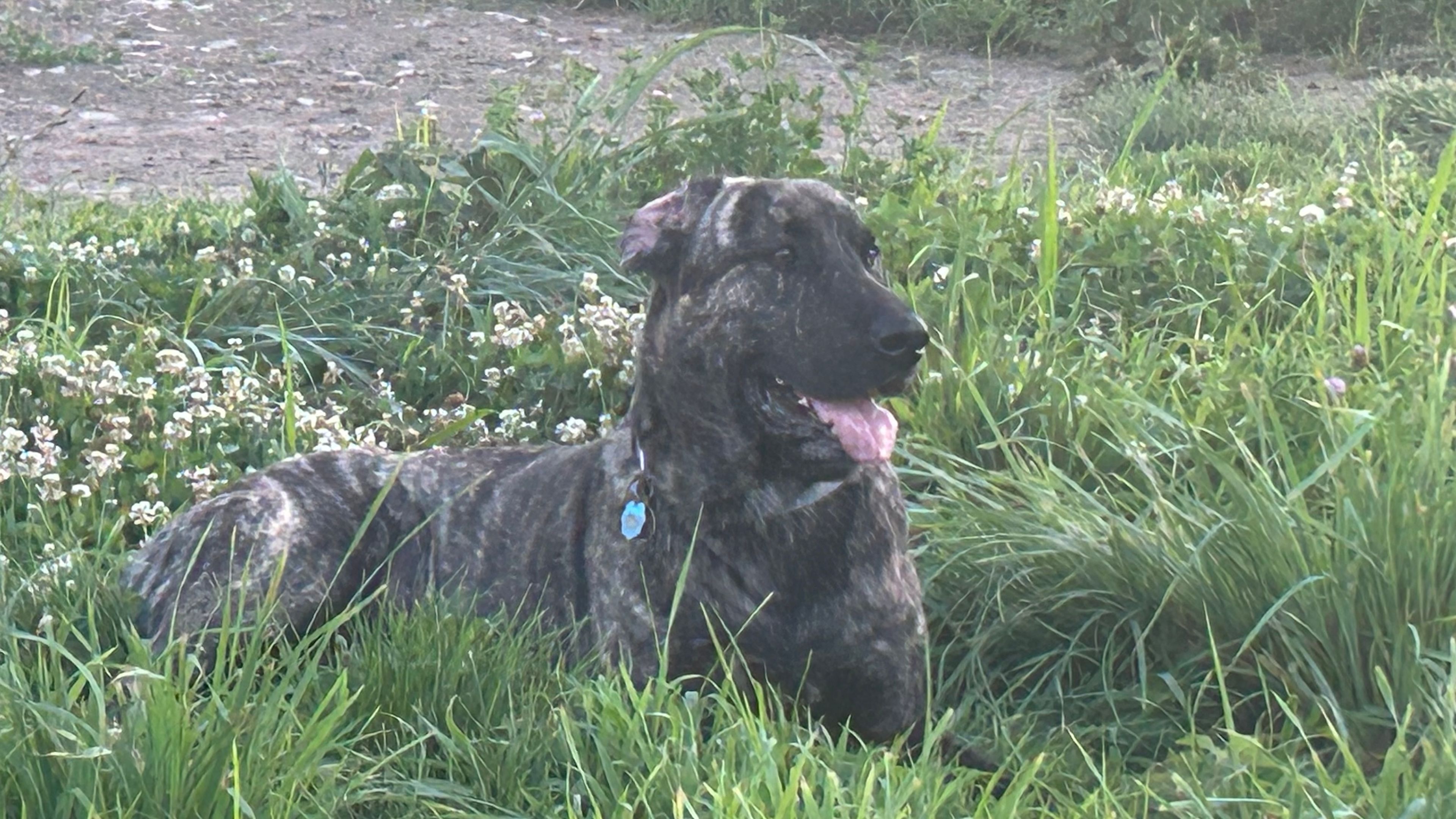 North Boone County Camp