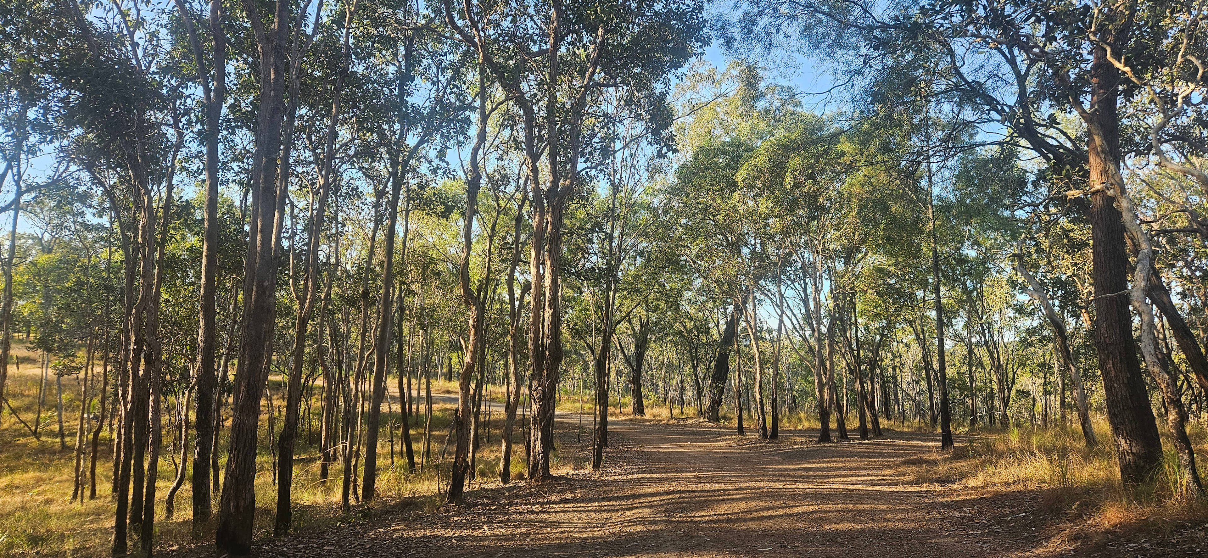 Driveway to the campsite 