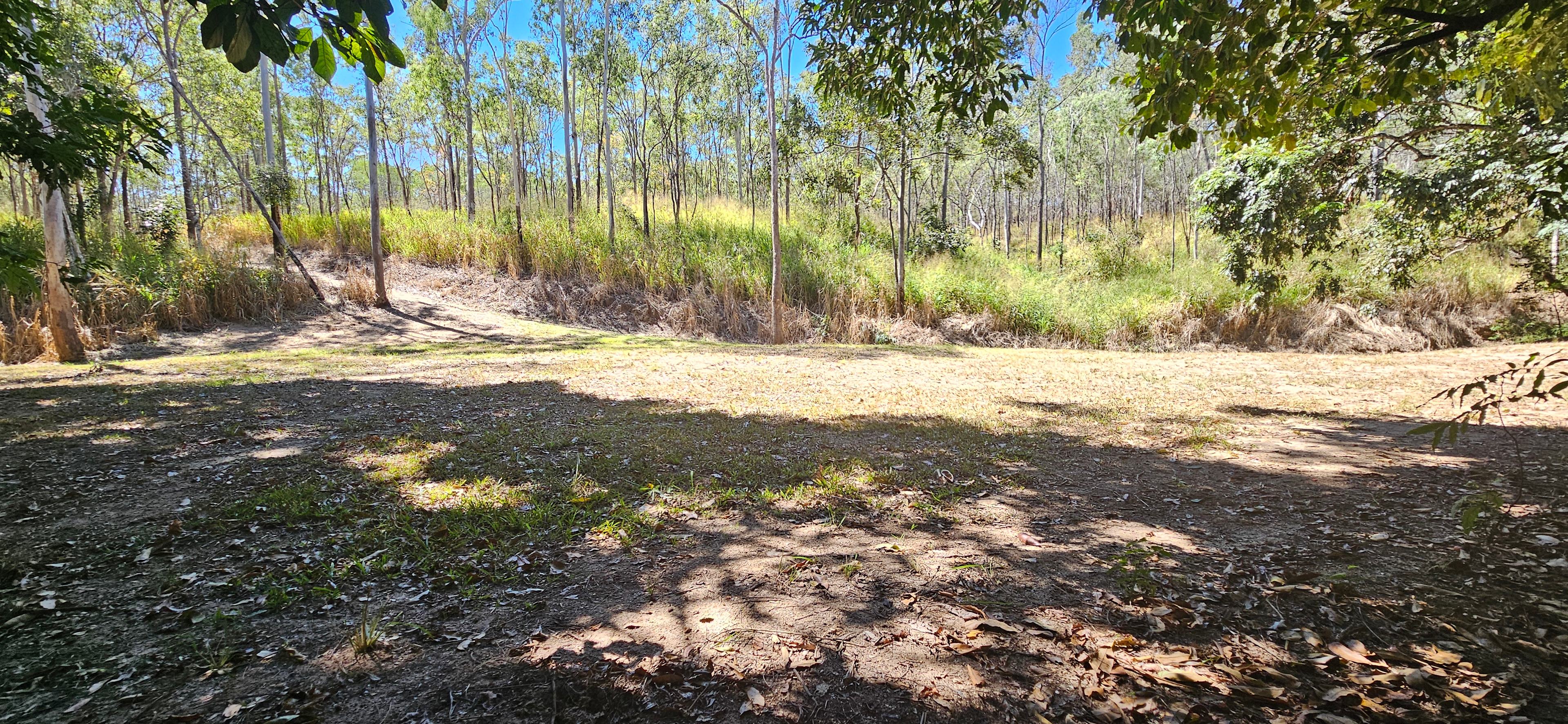 Spirit of the Bush Koah