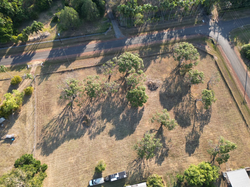 2 acres located in an old mango orchard. Fully fenced.