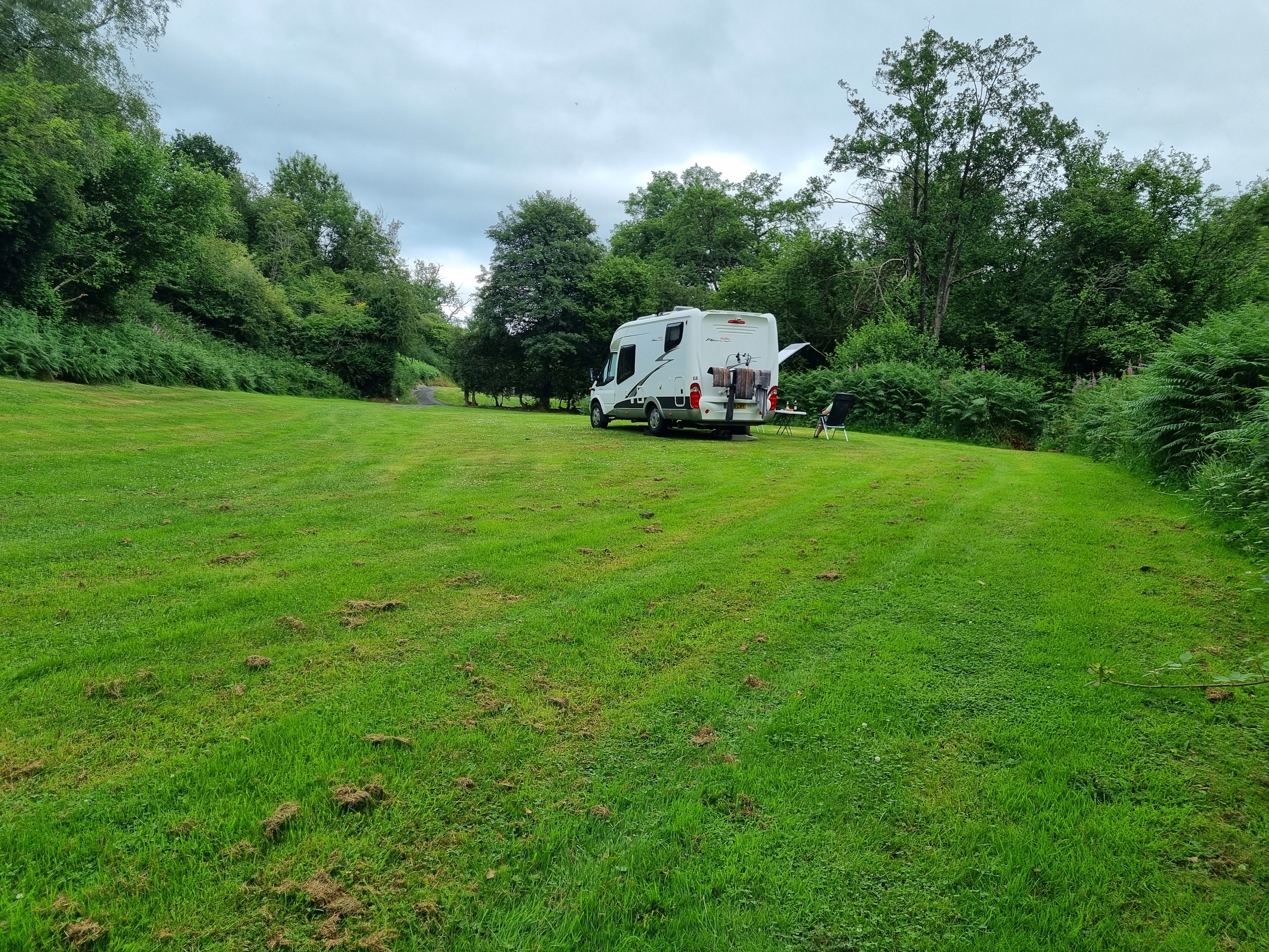 Pentwyn Dingle and Lodge Field Camp
