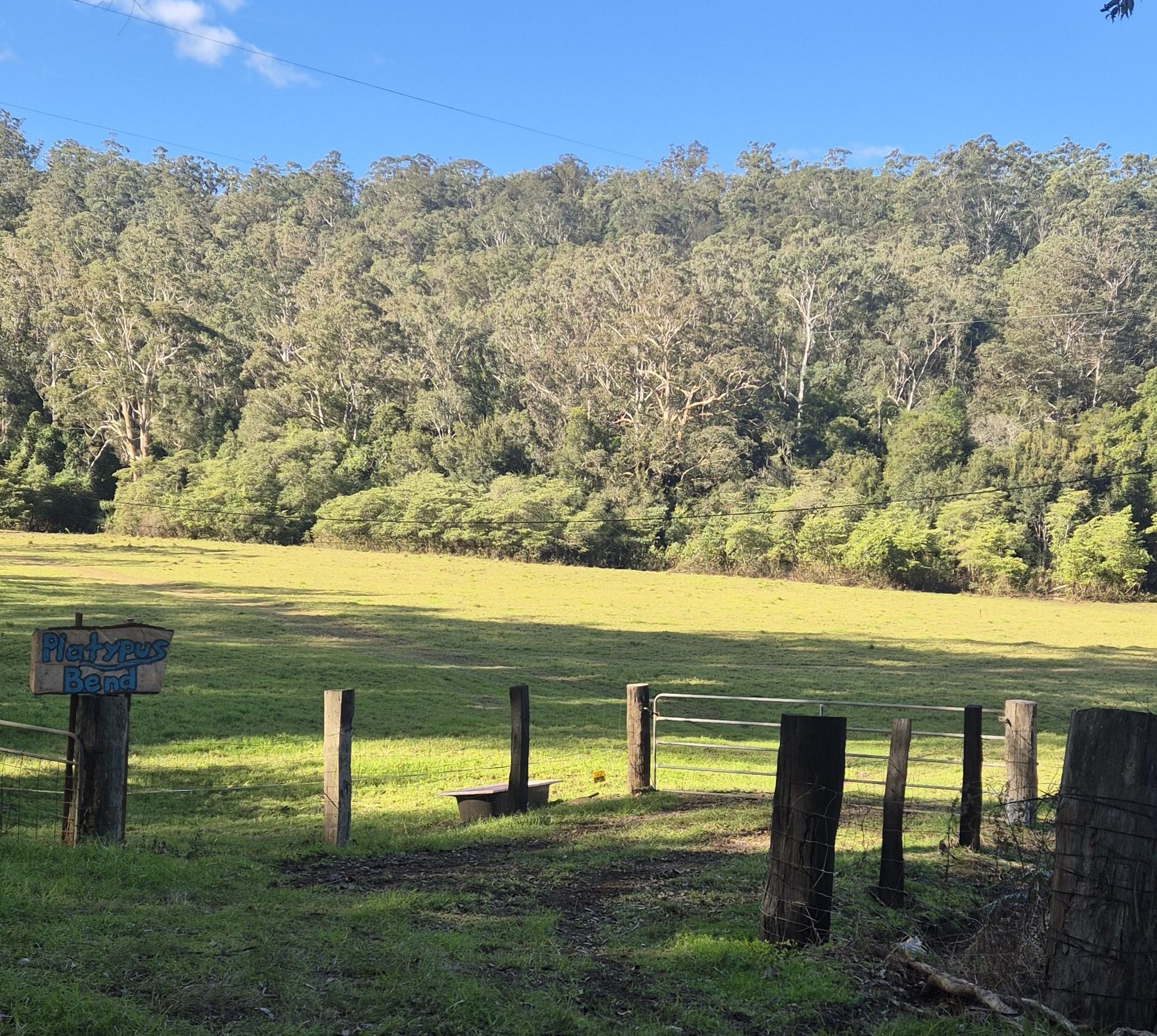 Entry to main paddock from road.