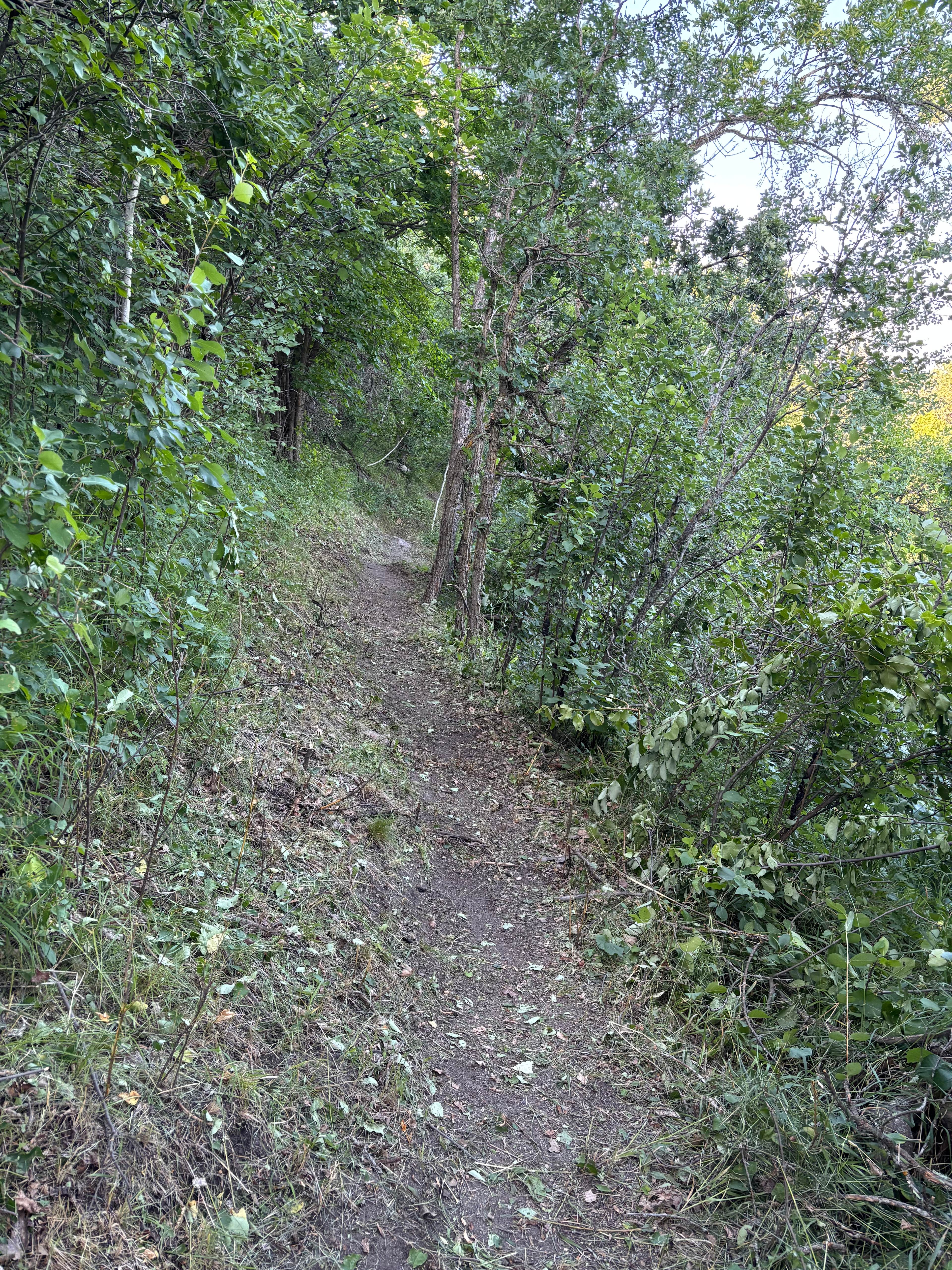 Valley Springs Campground & Trails