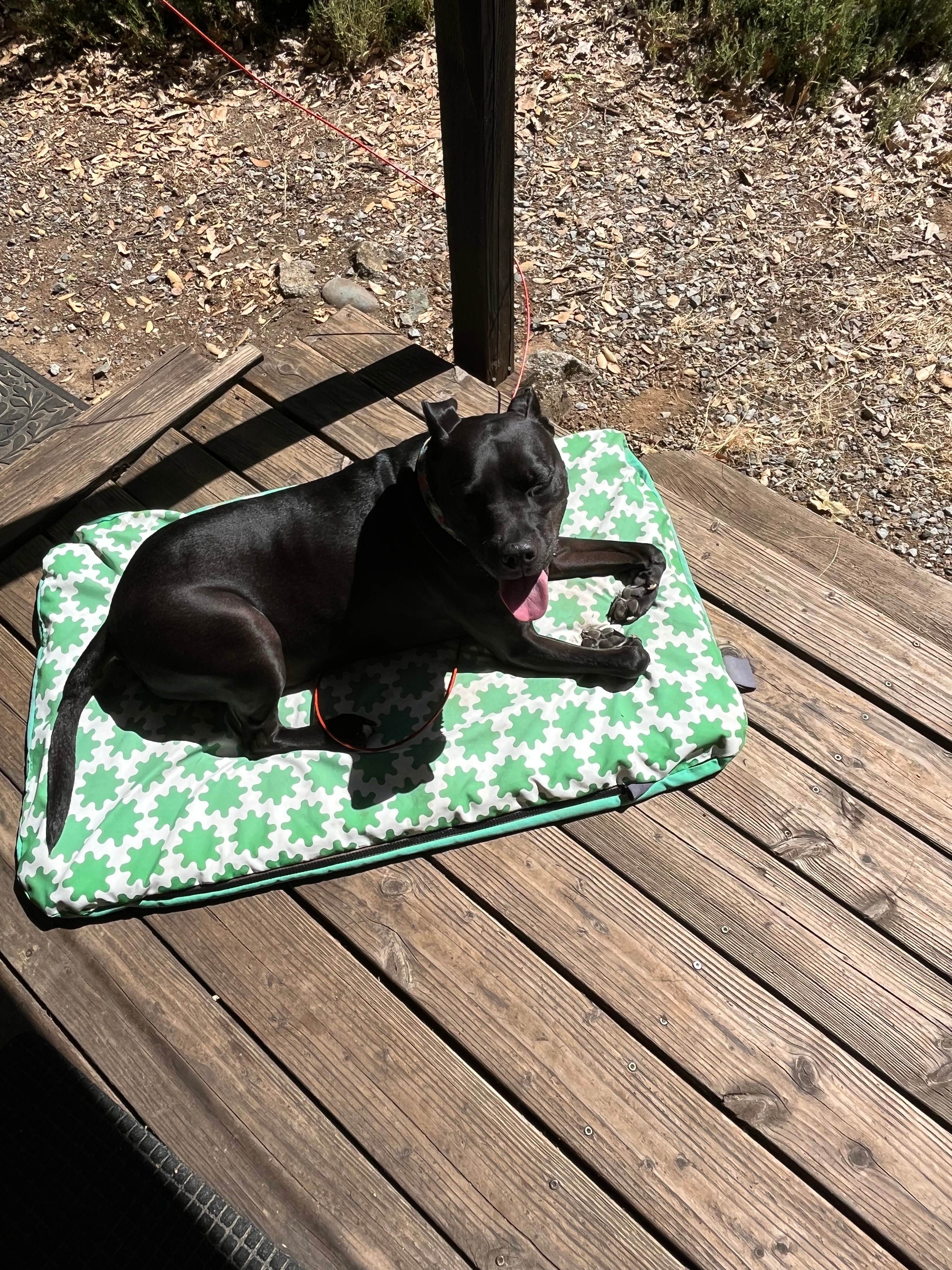The Yuba Yurt