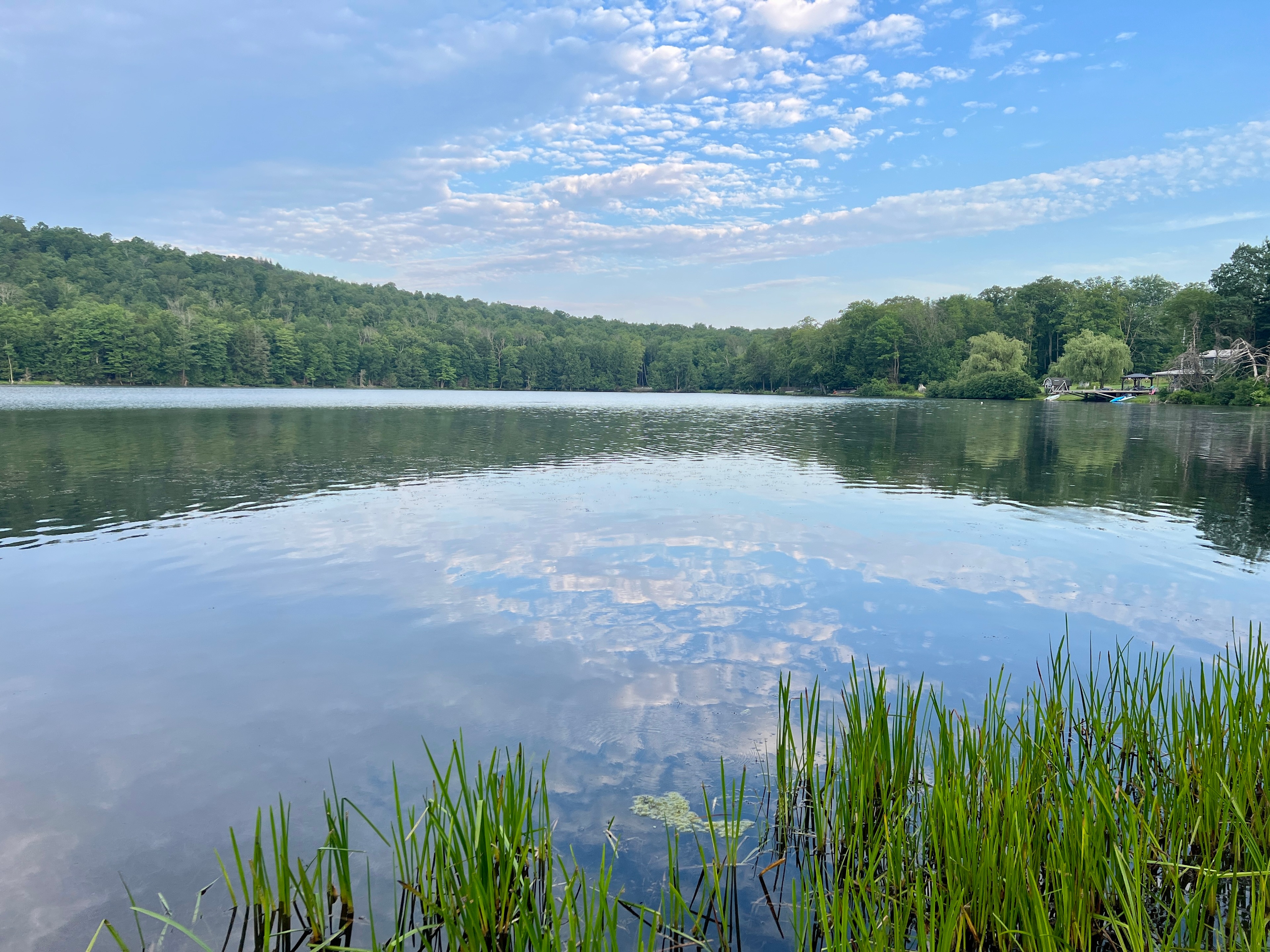 Lazy Paddle Cove at Stump Pond