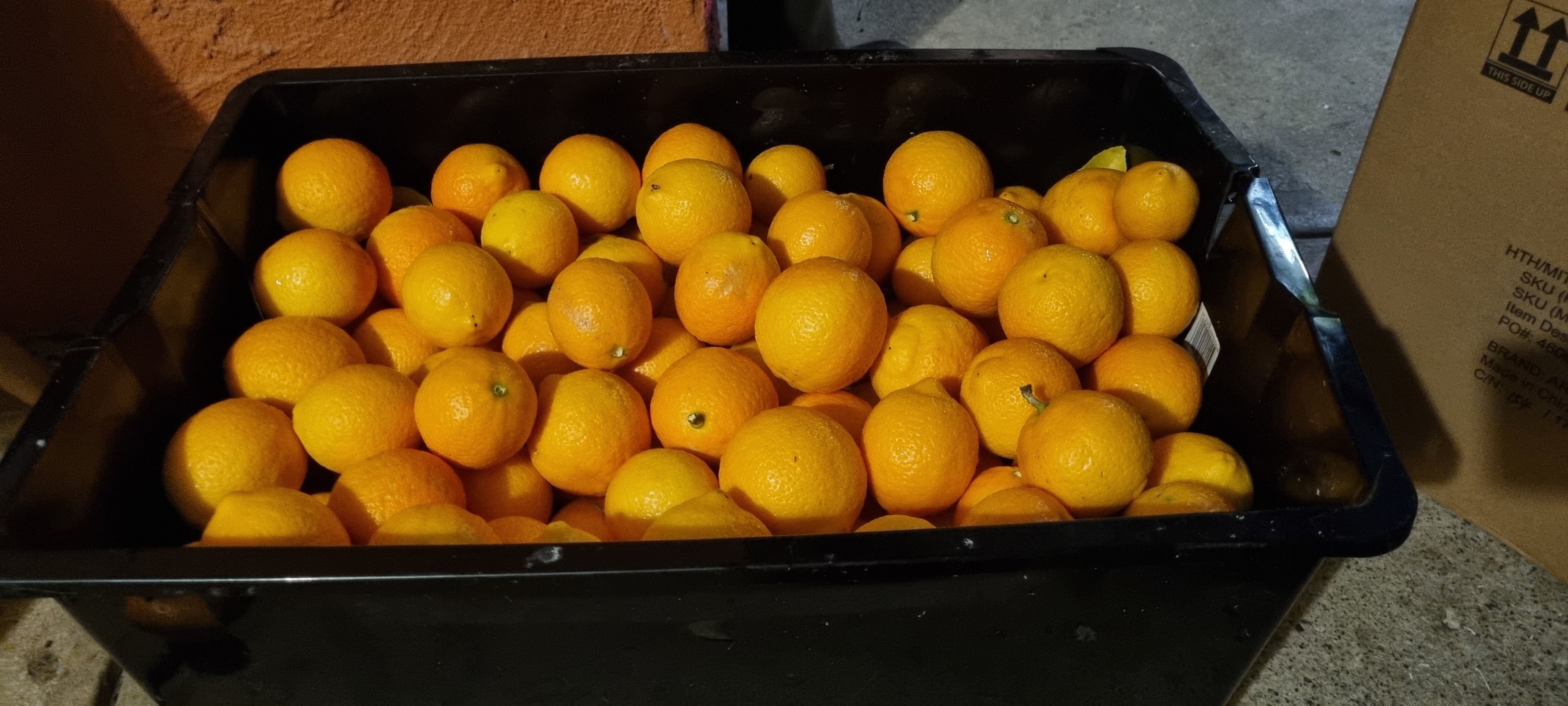 Bella Mia Tuscany Paradise