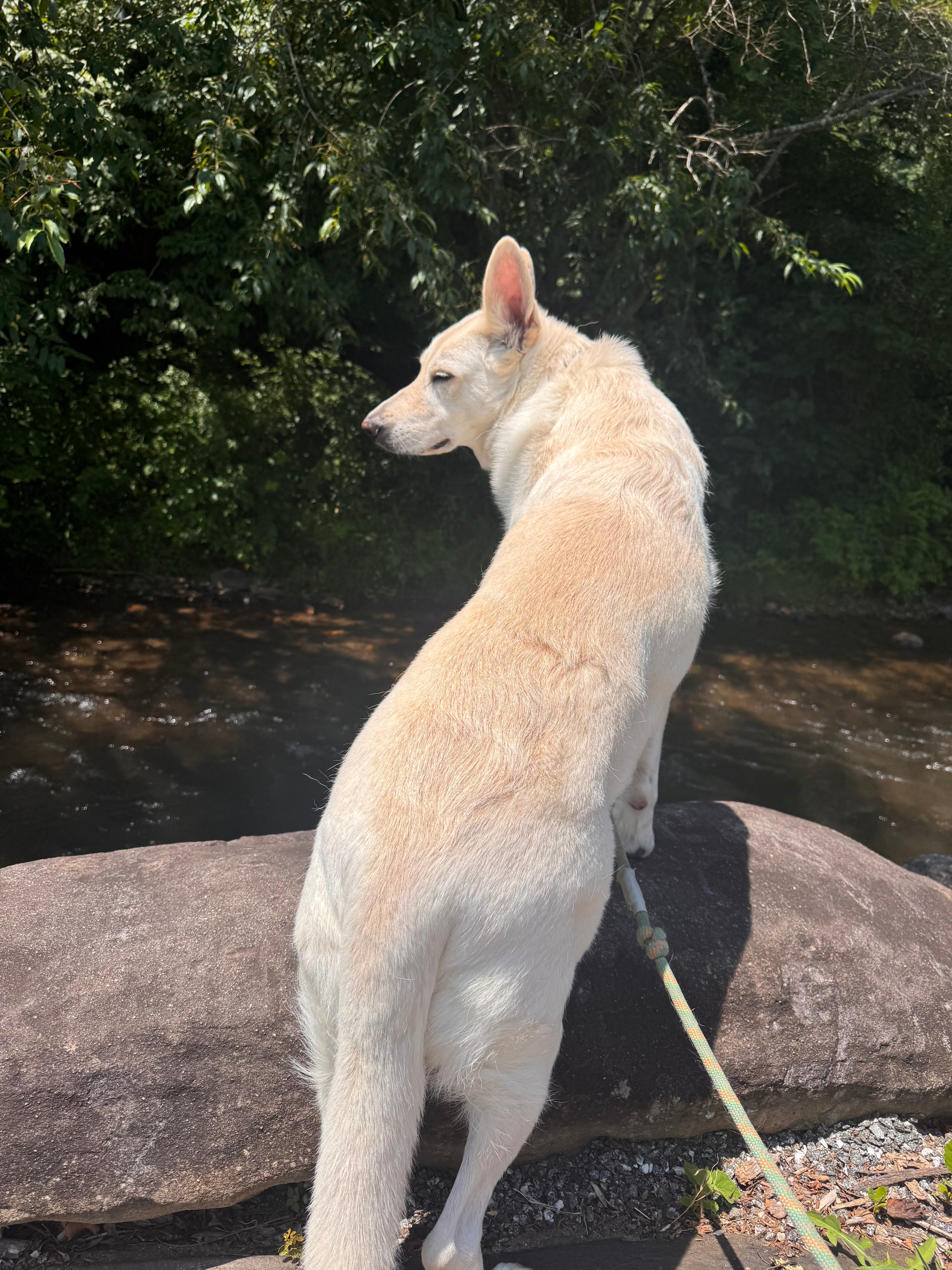 Camping on the Creek!
