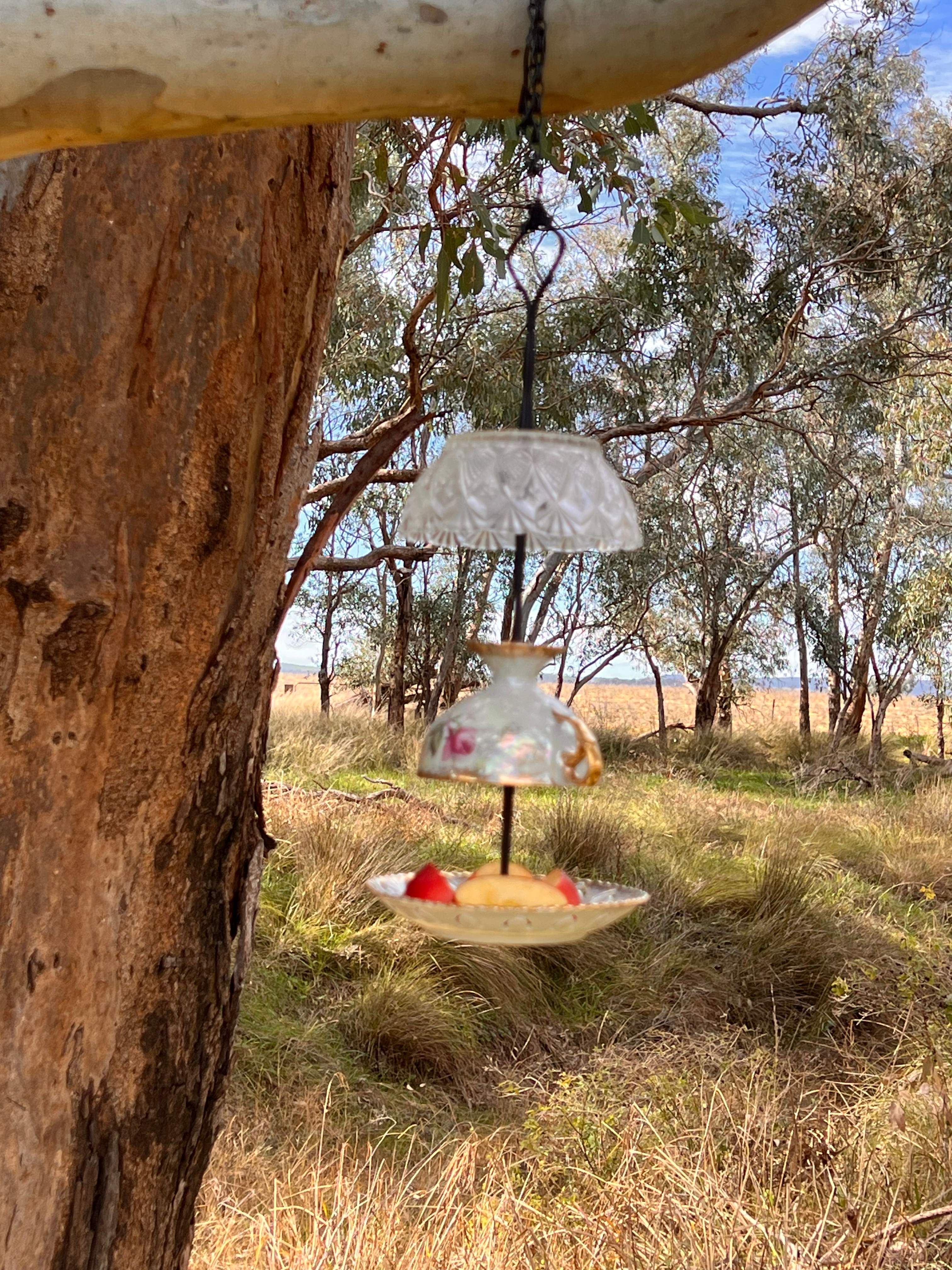 Wendouree Creek Camp