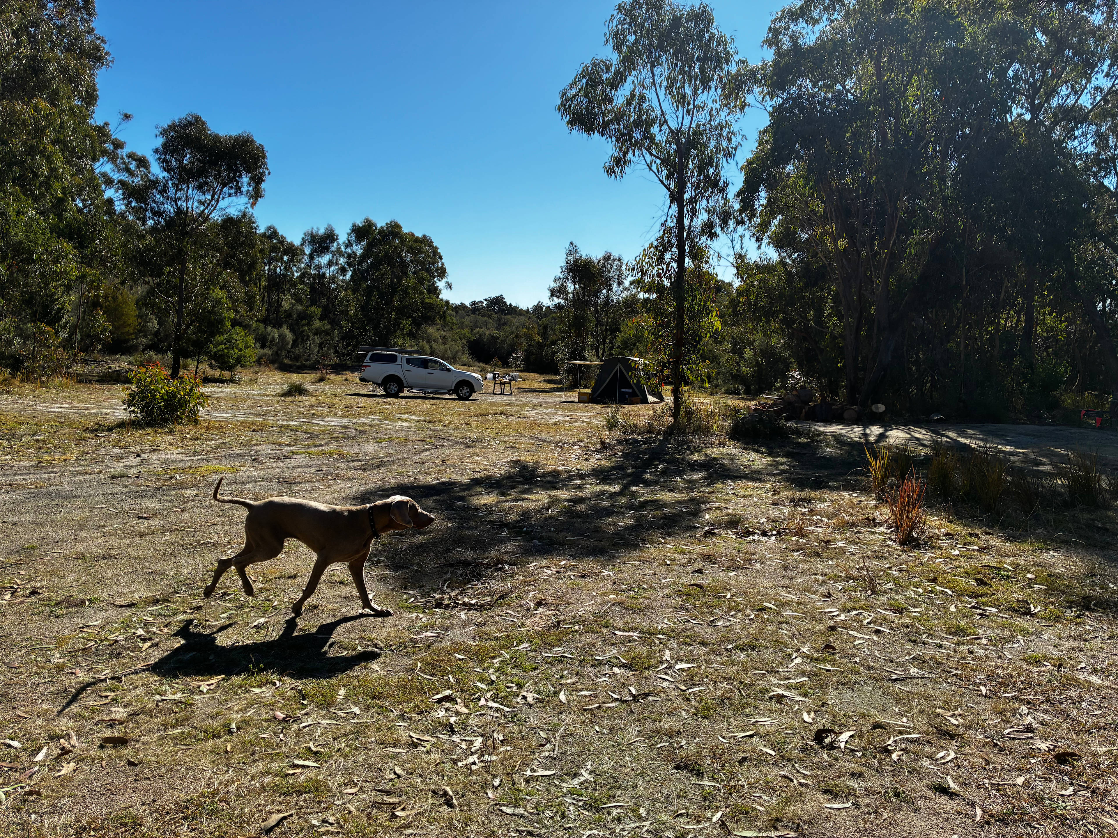 Farrup Bush Camp
