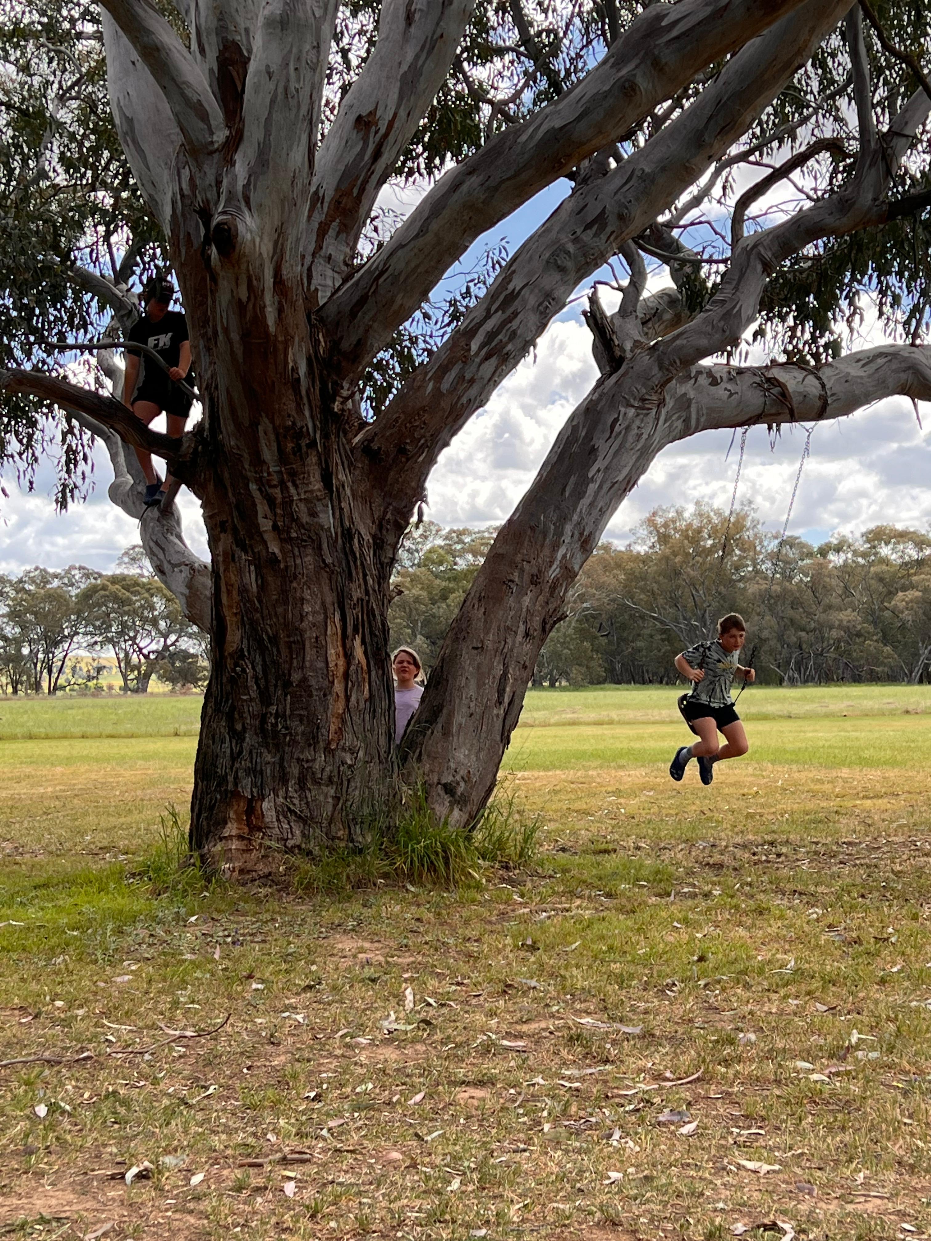 Wendouree Creek Camp