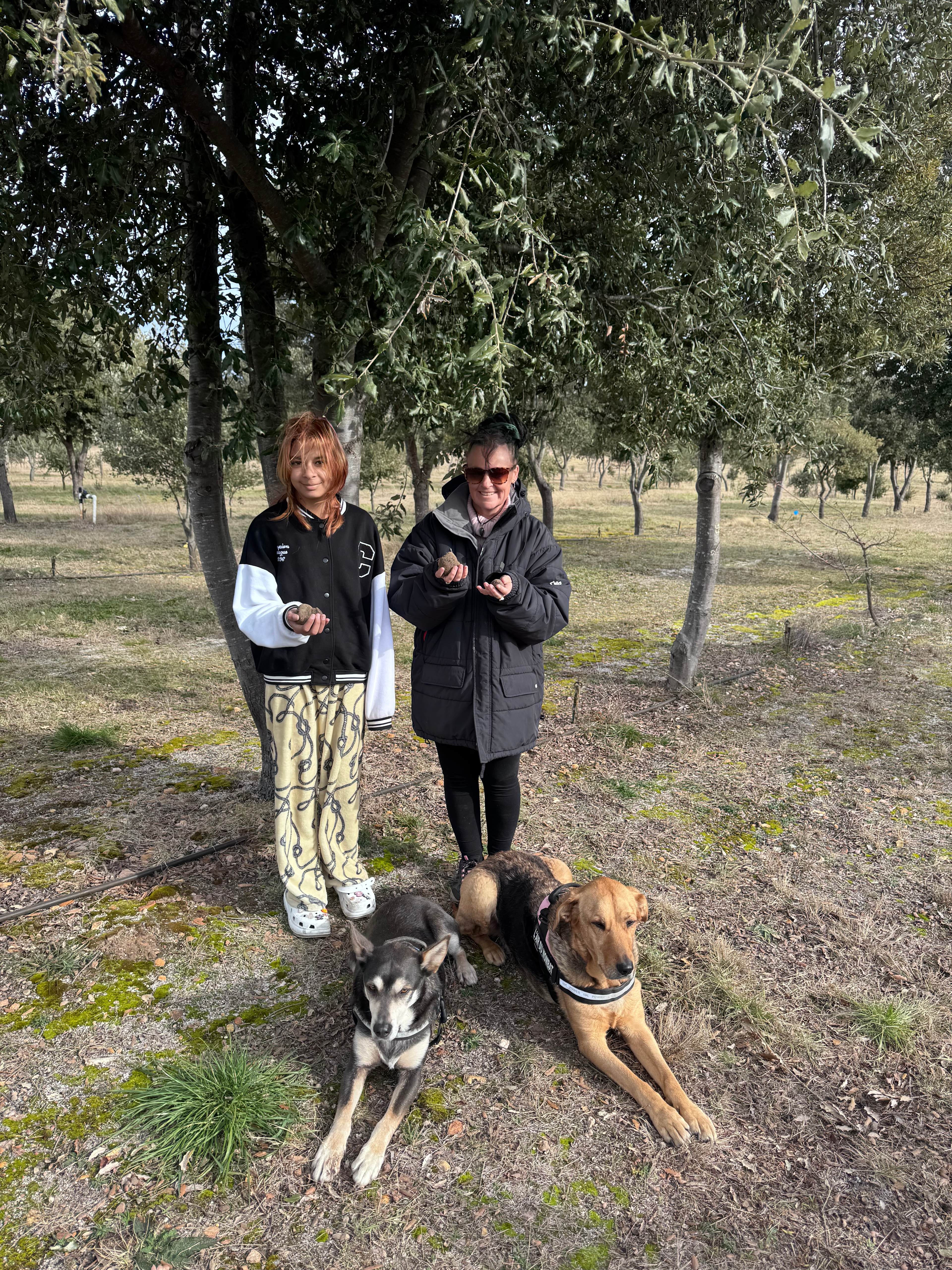 Truffle Farm Camping