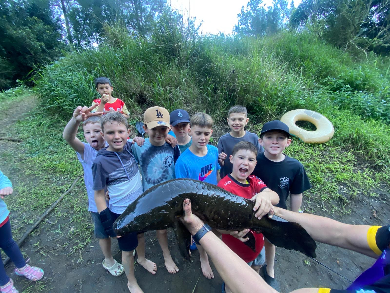 Yabba Creek Farm
