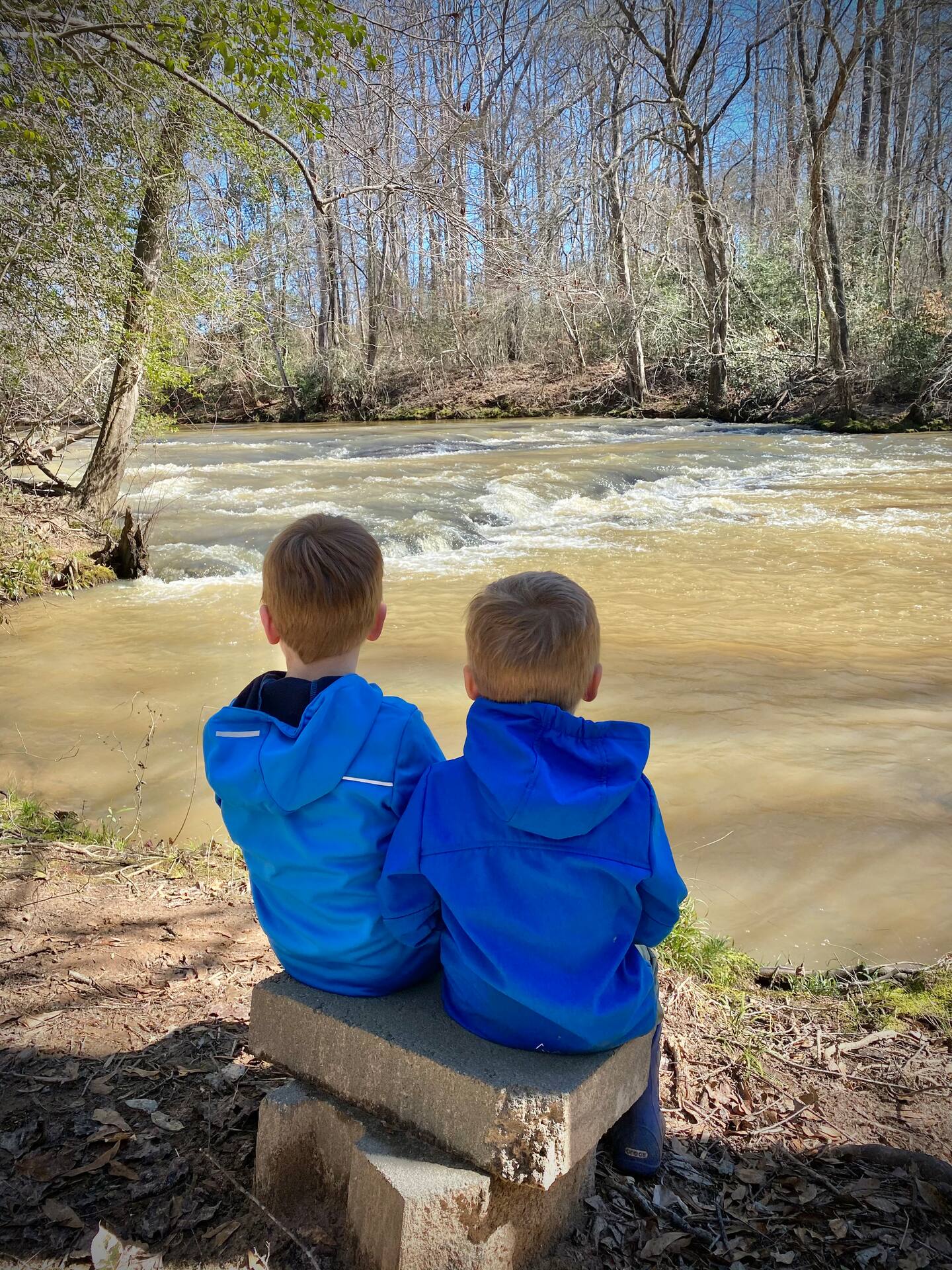 Hartwell Oasis - Beach/Fish/Trails