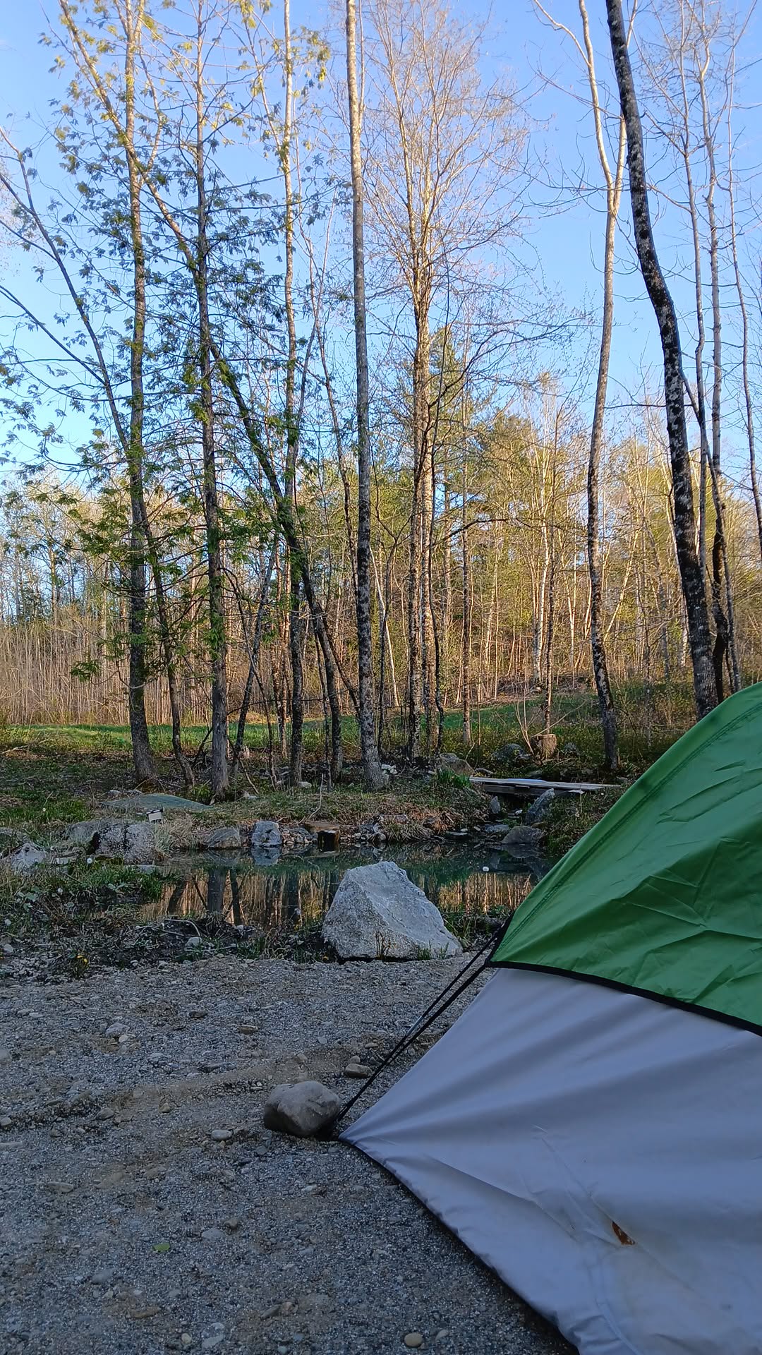 Tent Chantrelle