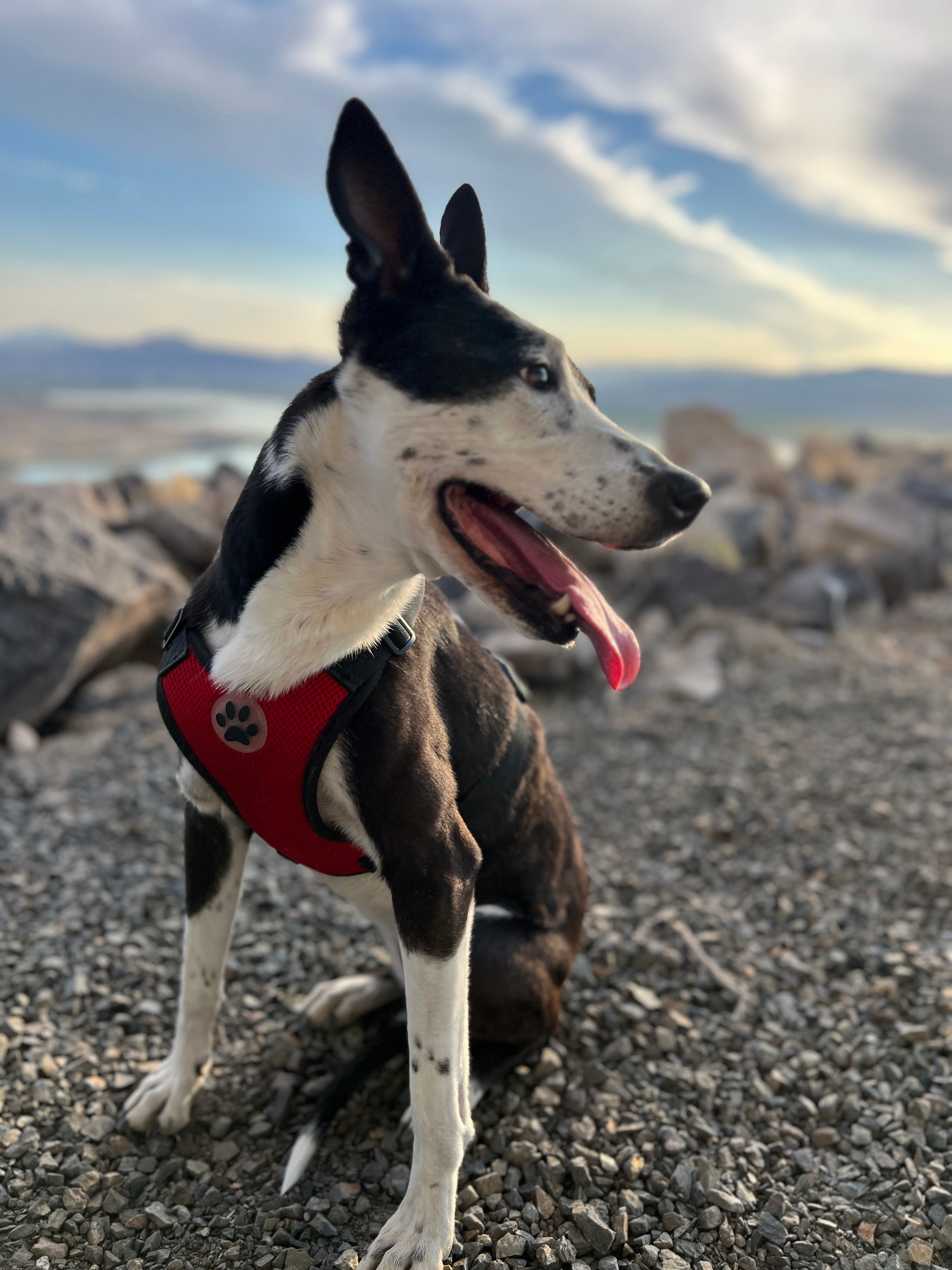 Lahontan Shores High Desert Retreat