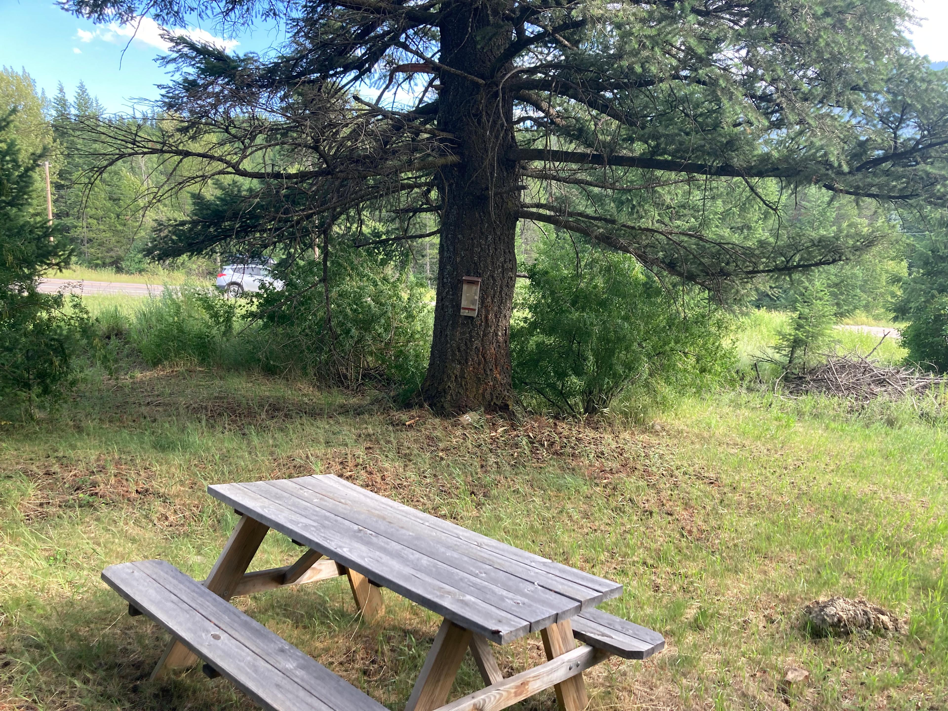 Martin City's Famous Campground